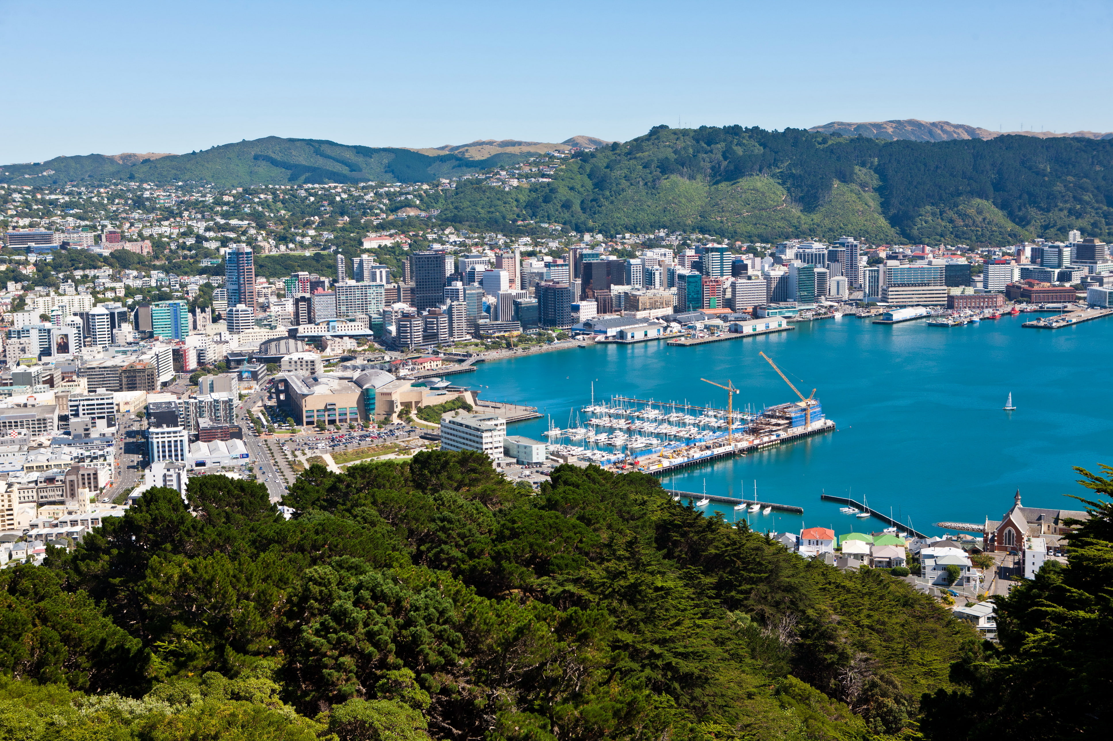 coast, 4K, zealand, cities, wellington, marinas, HD Wallpaper
