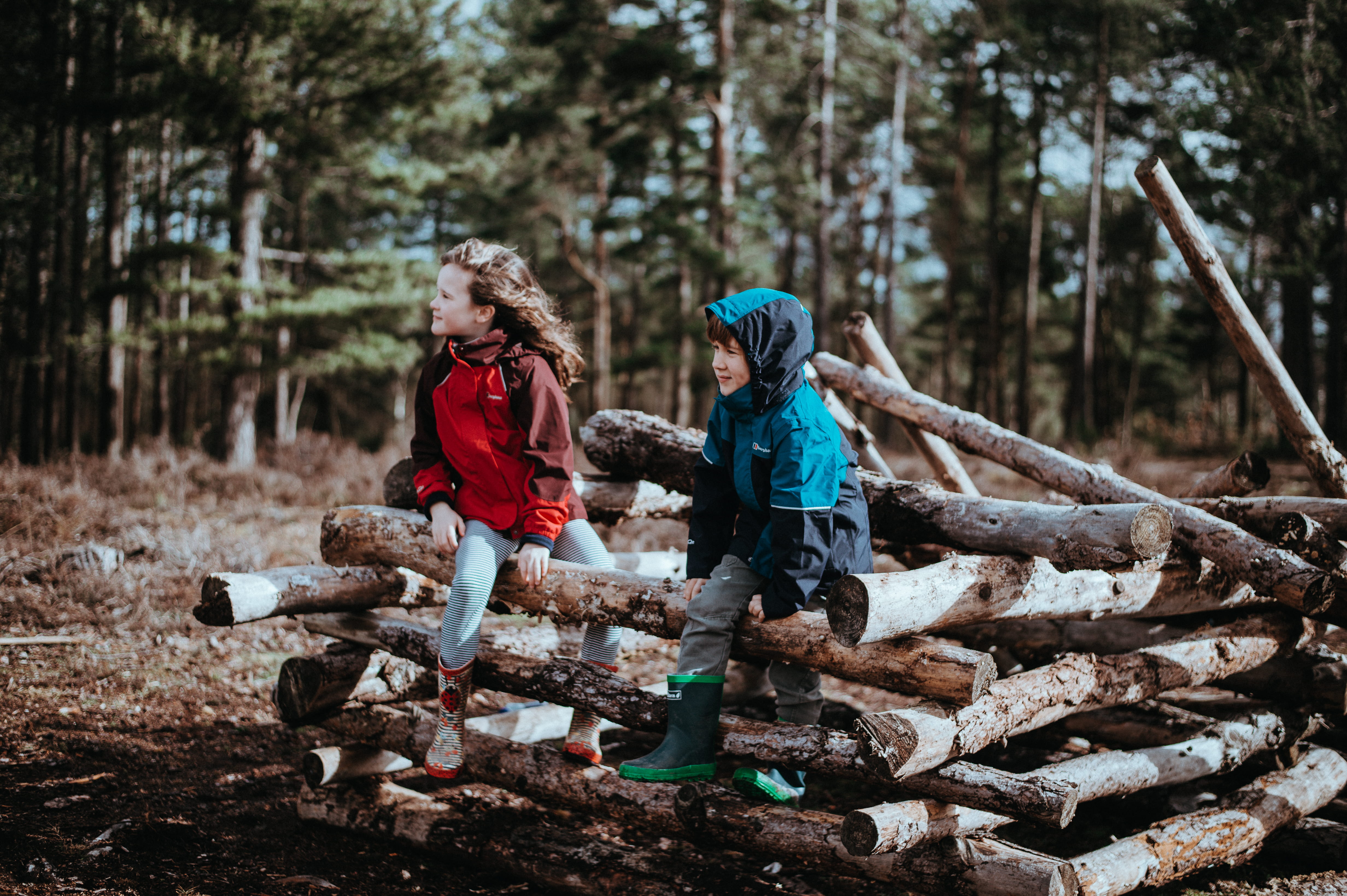 innocence, woodland, boots, family, boy, wellies, pile, men, logs, nature, girls, child, forest, log, tree, sitting, trees, outdoors, full length, coat, HD Wallpaper