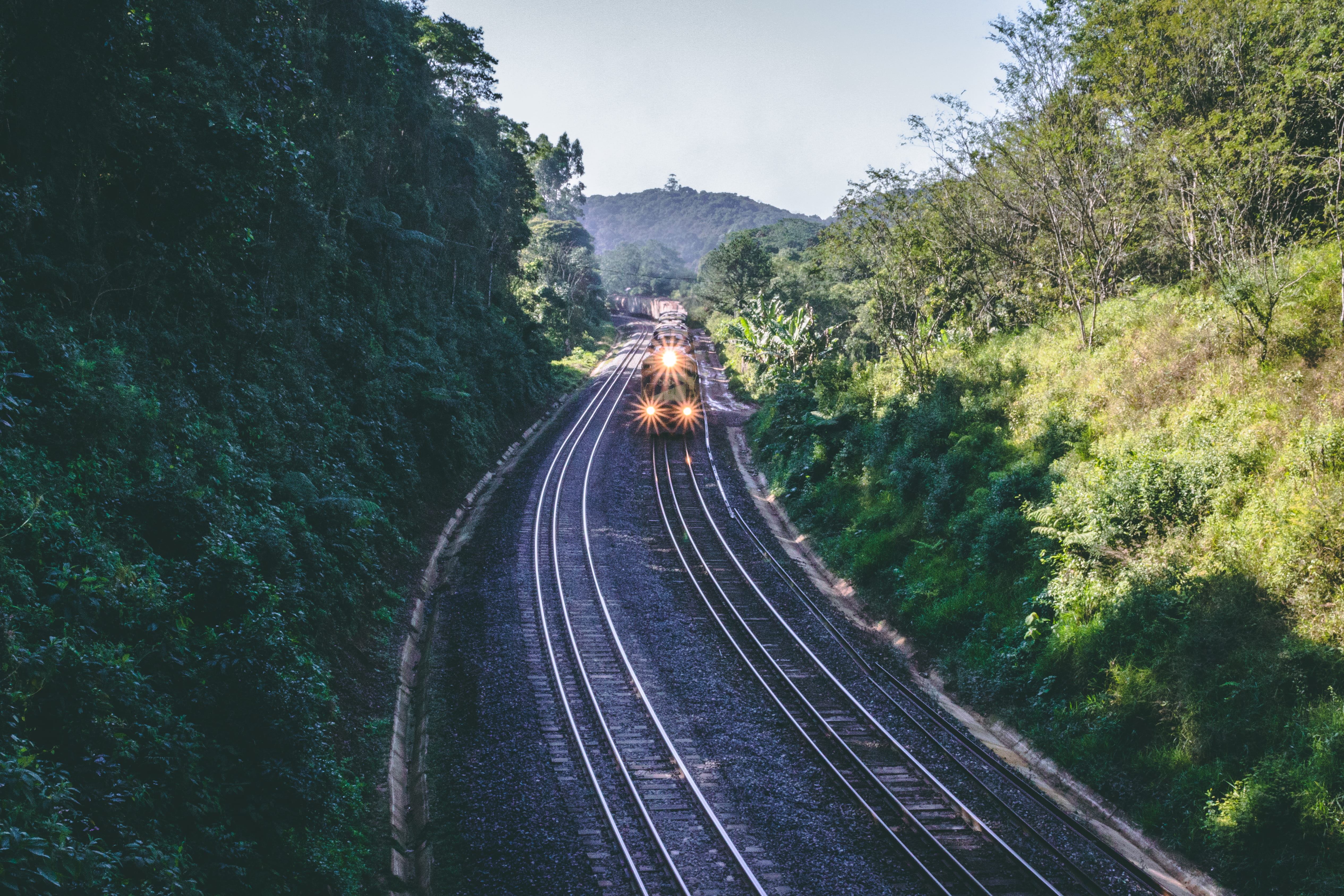 leafed, gravel, transportation, brazil, embu-guaçu, direction, black, rail, road, diminishing perspective, 4K, outdoors, green, trees, headlights, jungle, HD Wallpaper
