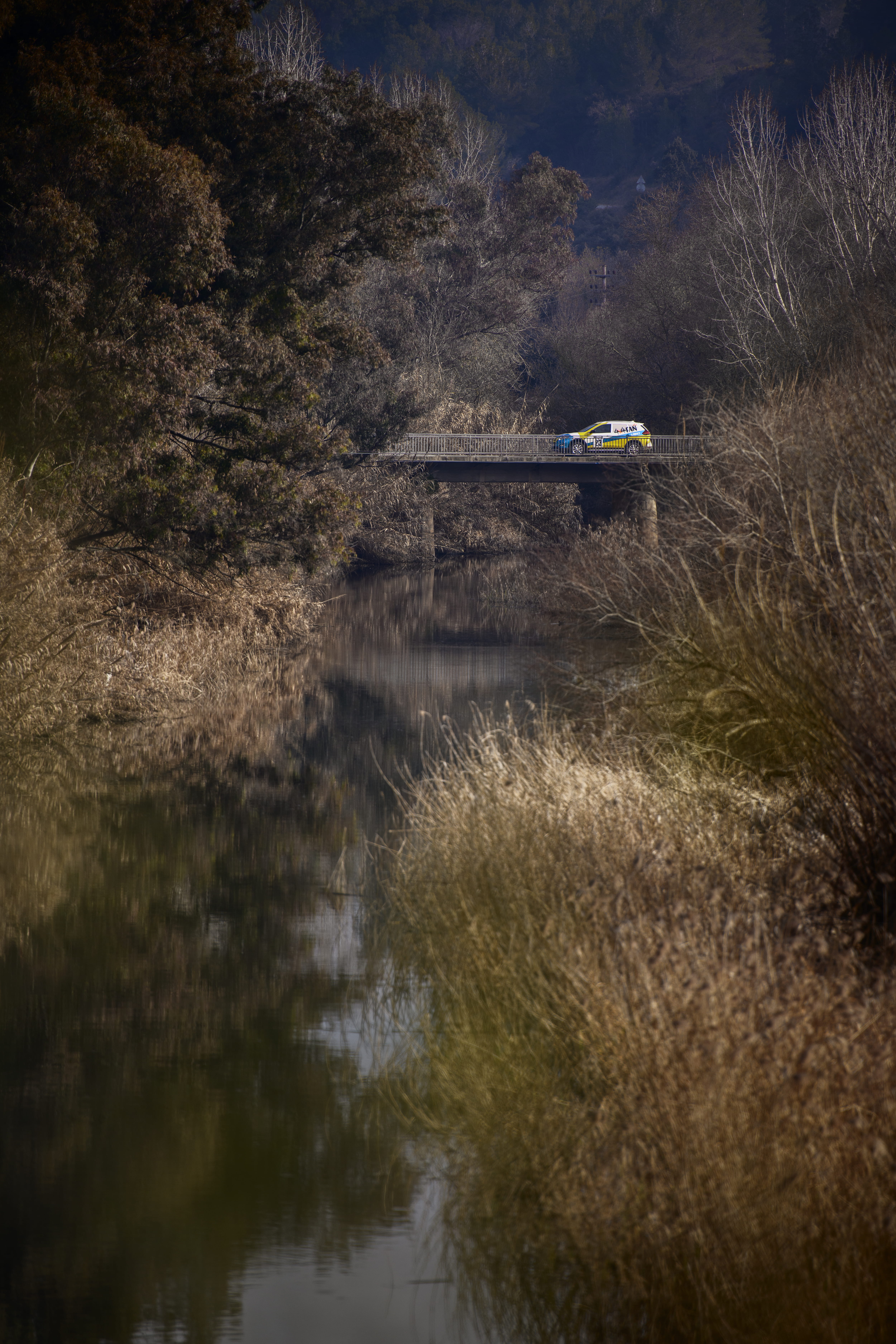 train track, no people, land, mode of transportation, forest, vehicle, bog, rail, white, scenics - nature, non-urban scene, green, water, day, grass, outdoors, Phone HD Wallpaper
