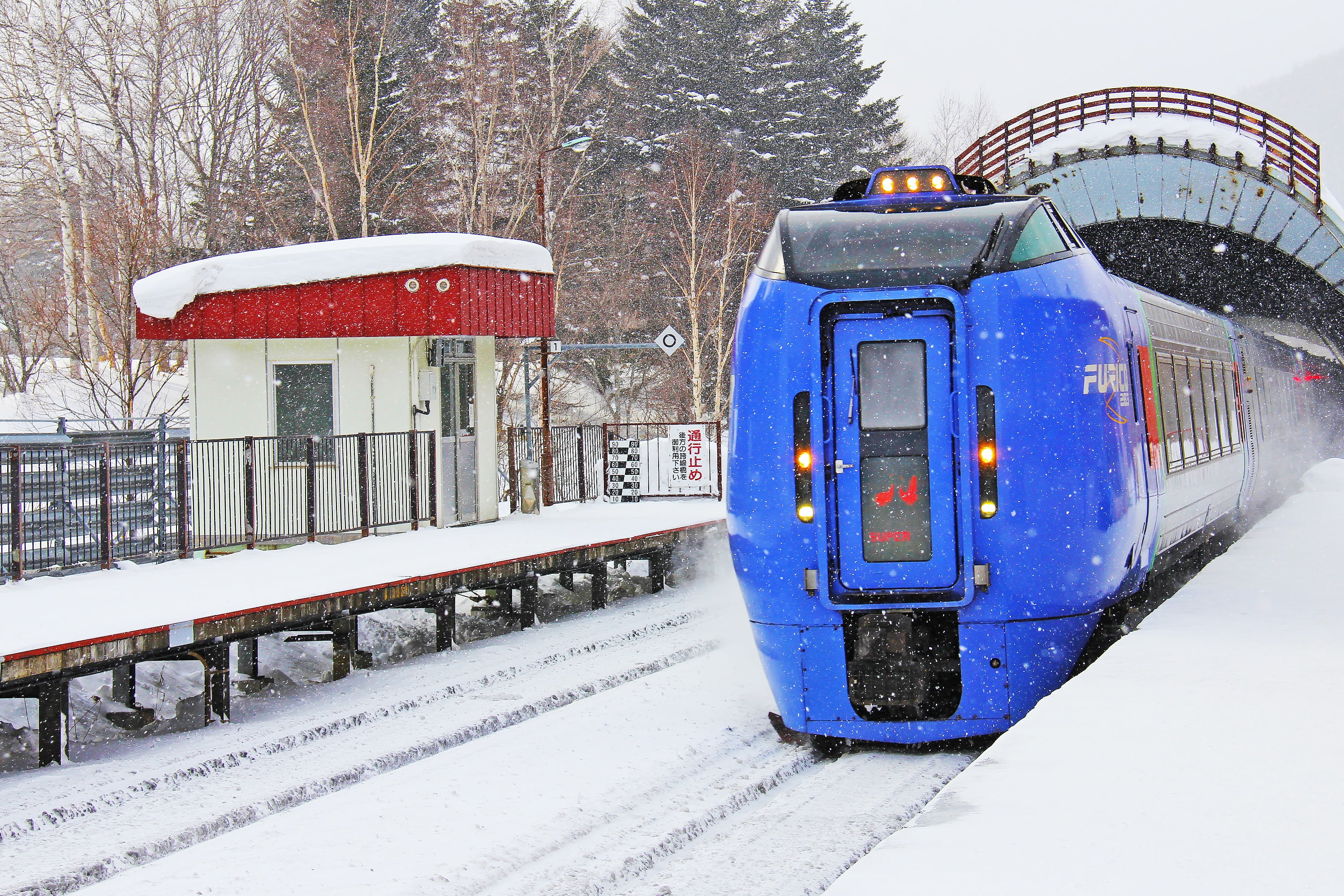 nature, white, sport, track, winter, day, black, snowing, daytime, transportation, ground, outdoors, snow, tomamu, train, mode of transportation, built structure, HD Wallpaper