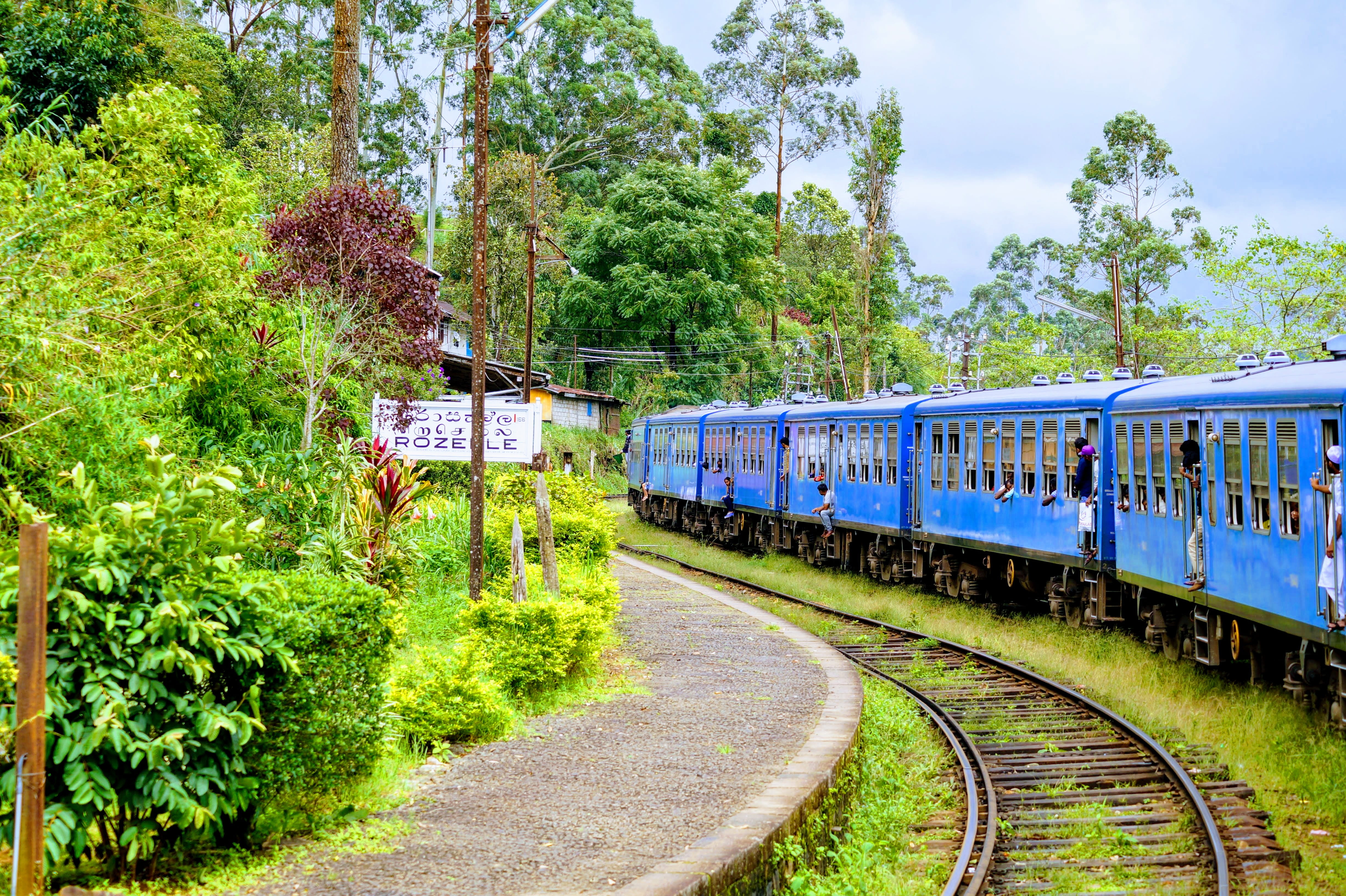 no people, tree, land vehicle, ella, rozelle, nature, railway station, kandy, plant, sri lanka, sky, train station, transportation, day, growth, travel, HD Wallpaper