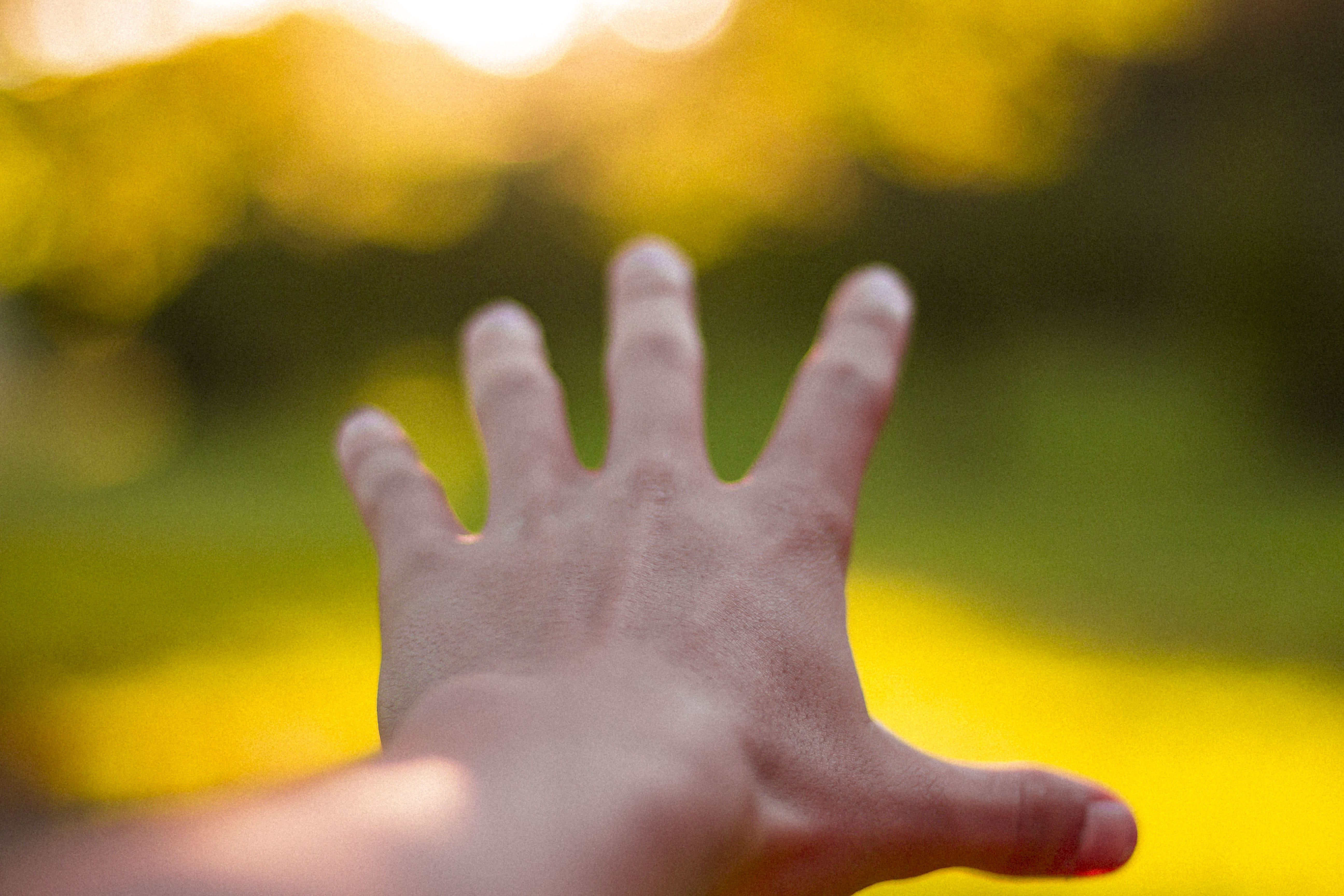 human finger, forest, autumn, real people, human hand, sunlight, hand, child, regrets, human foot, close-up, trees, plant, one person, nature, lifestyles, HD Wallpaper