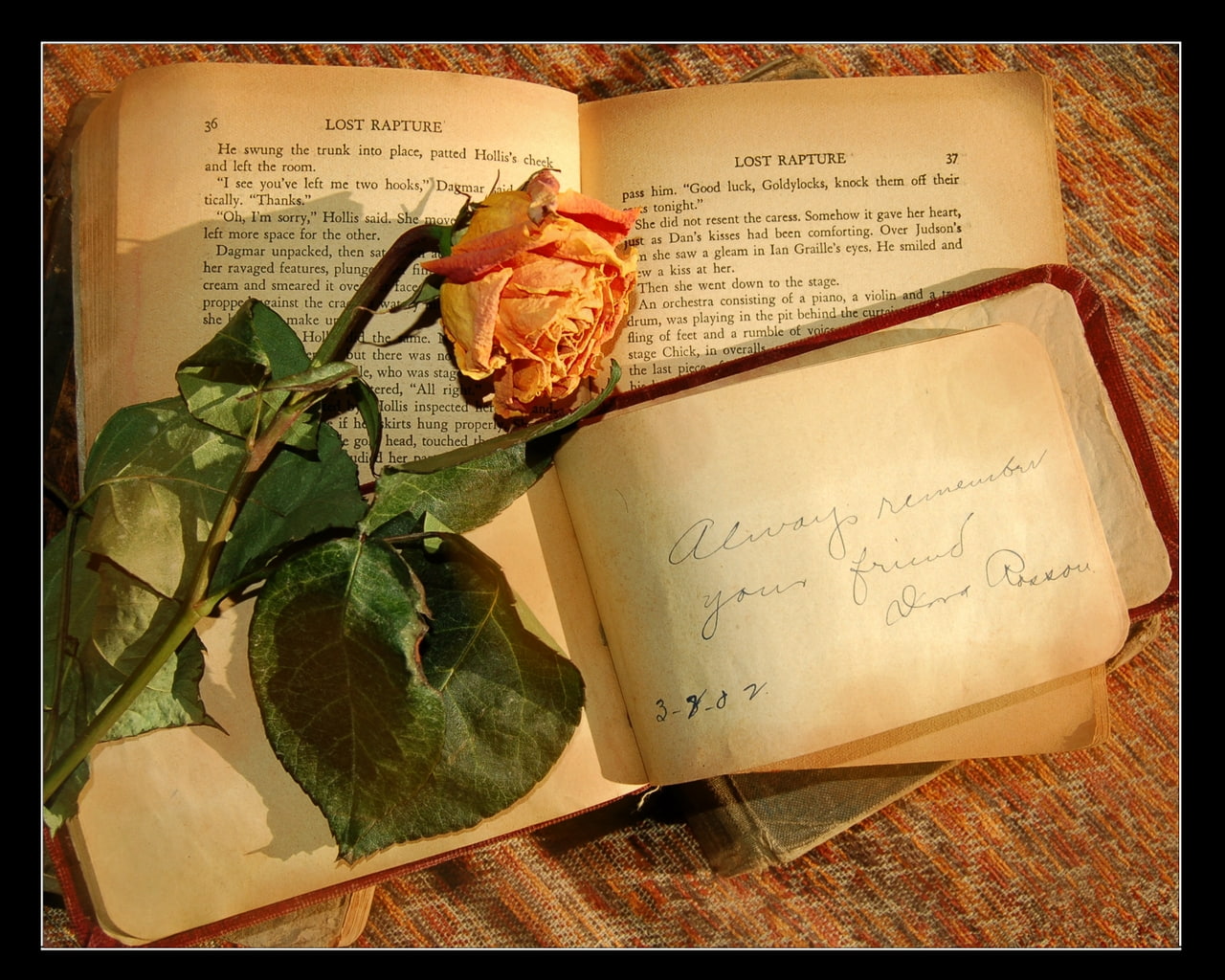 style, hd, remember, old, 720P, old style, art, farewell, abstract, book, rose, HD Wallpaper