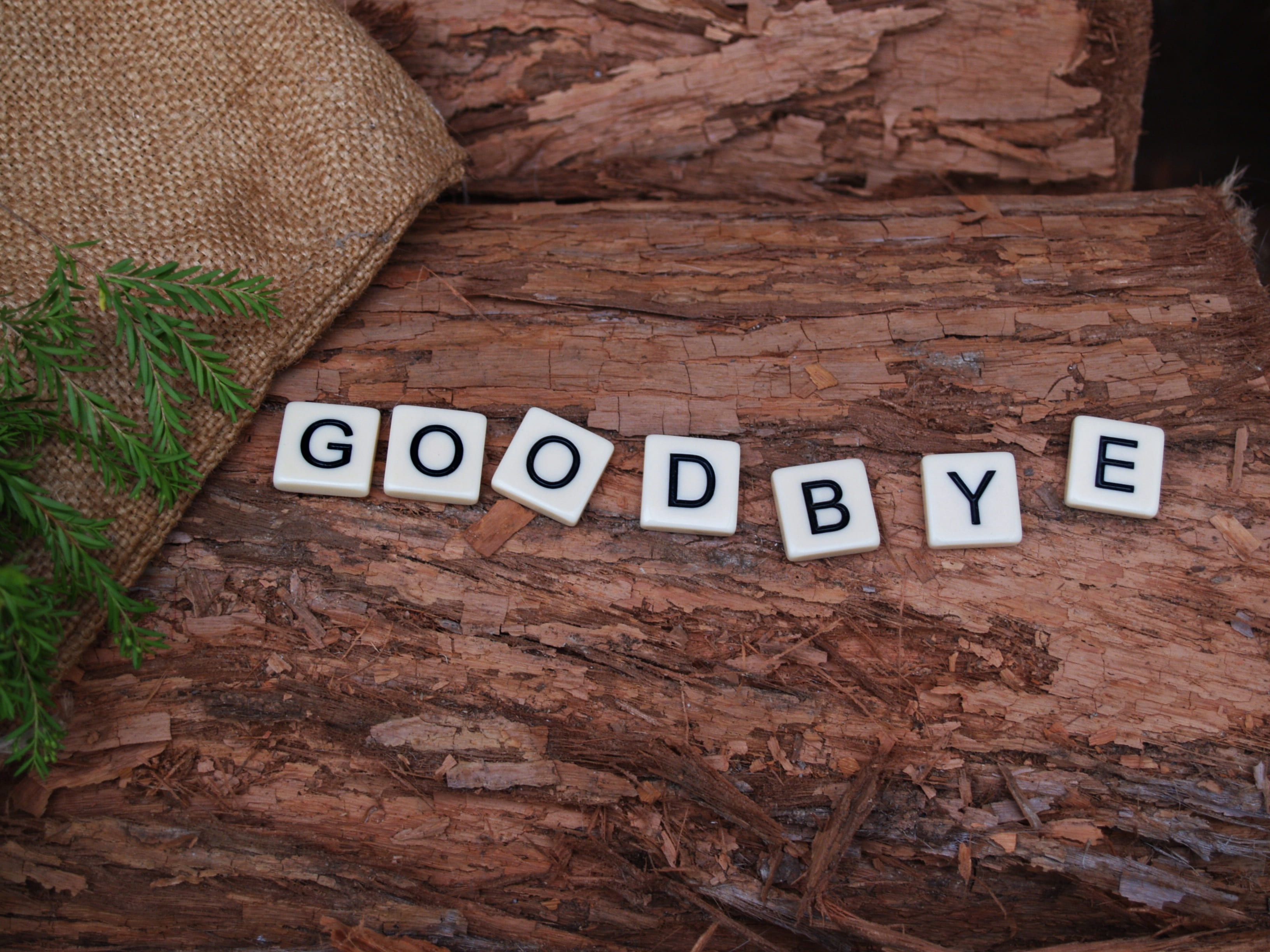 wood, bark, text, solid, leaves, goodbye, white, rock - object, firewood, letters, wood - material, capital letter, number, western script, no people, close-up, HD Wallpaper