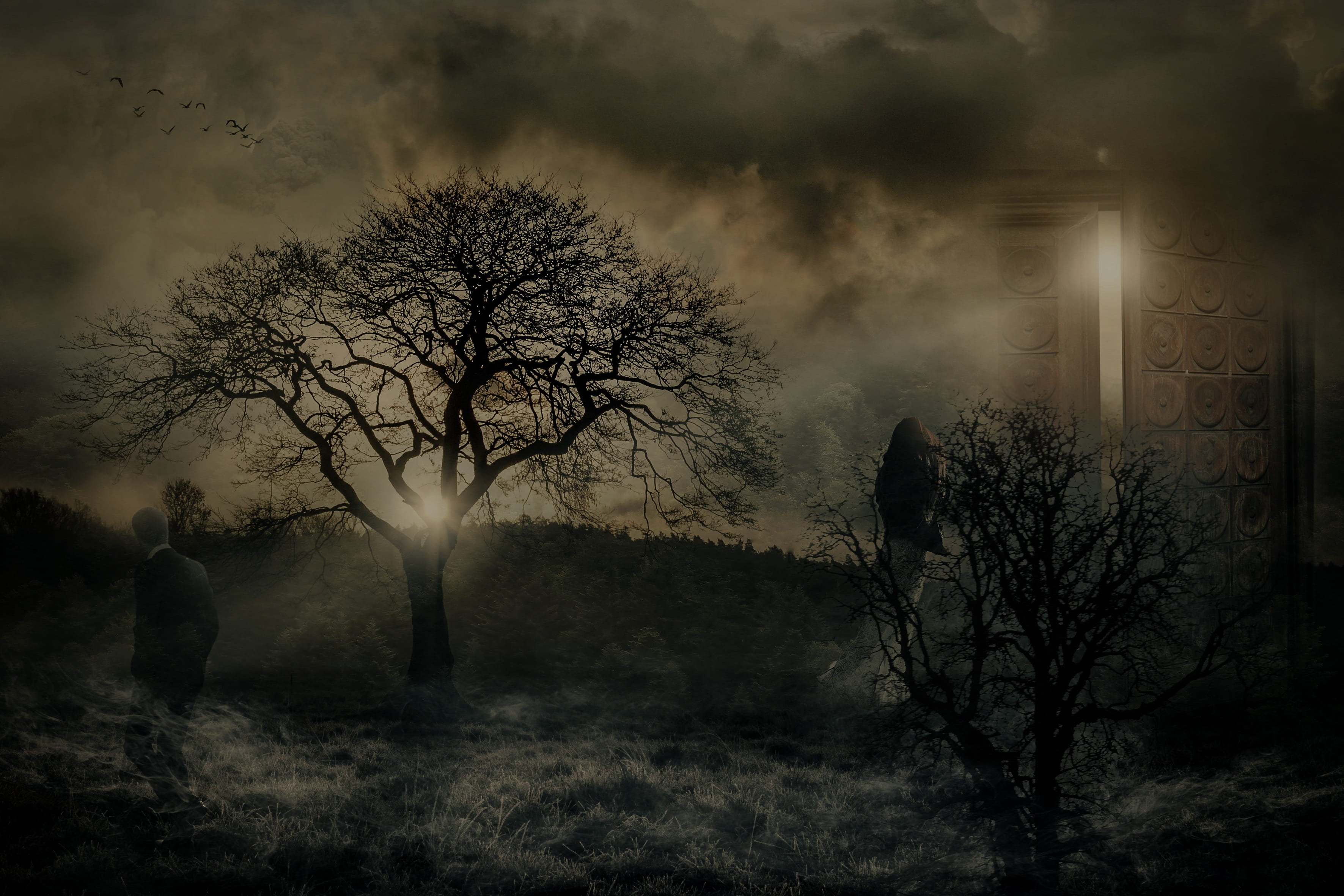 plant, pain, mysterious, outdoors, scenics - nature, mystical, nature, tranquility, land, environment, branch, field, farewell, cloud - sky, separation, HD Wallpaper