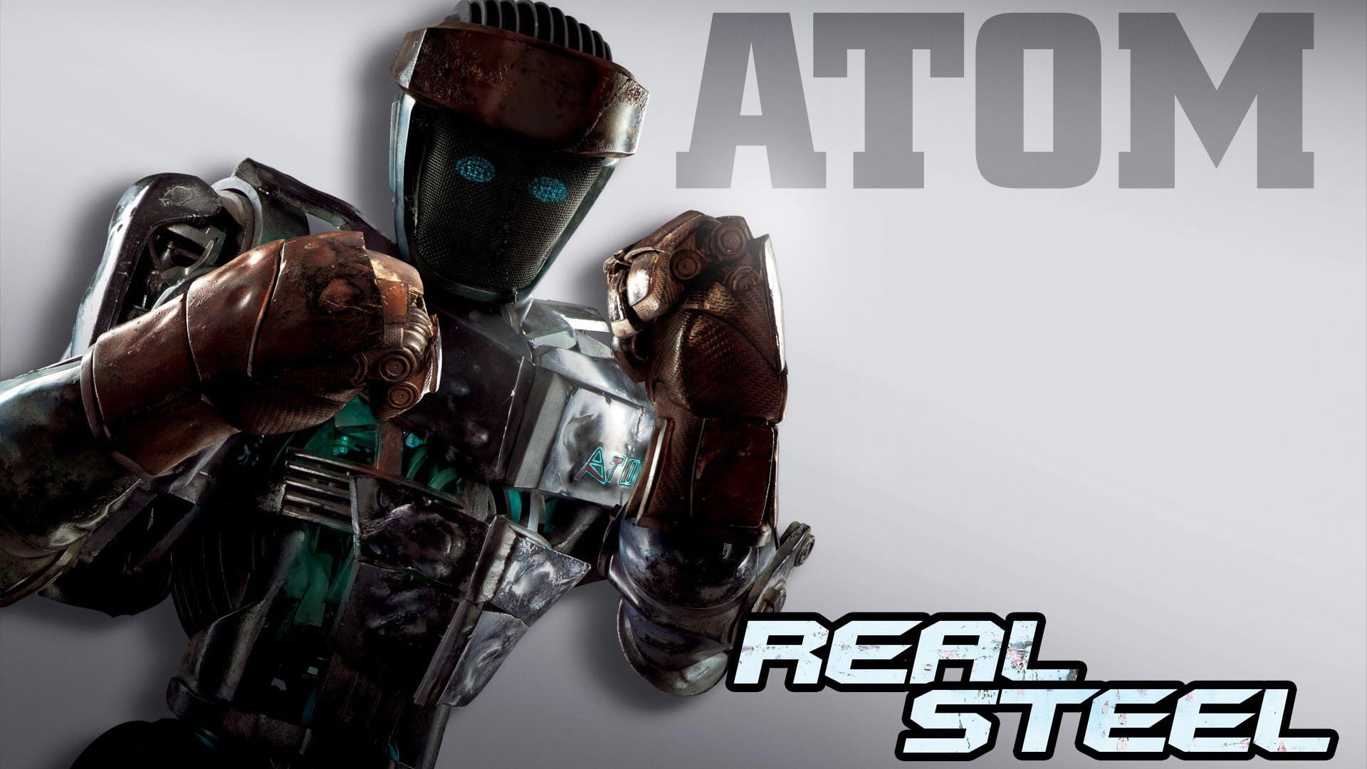 responsibility, Real Steel, day, protection, politics, government, still life, 1080P, text, close-up, large group of objects, capital letter, communication, HD Wallpaper