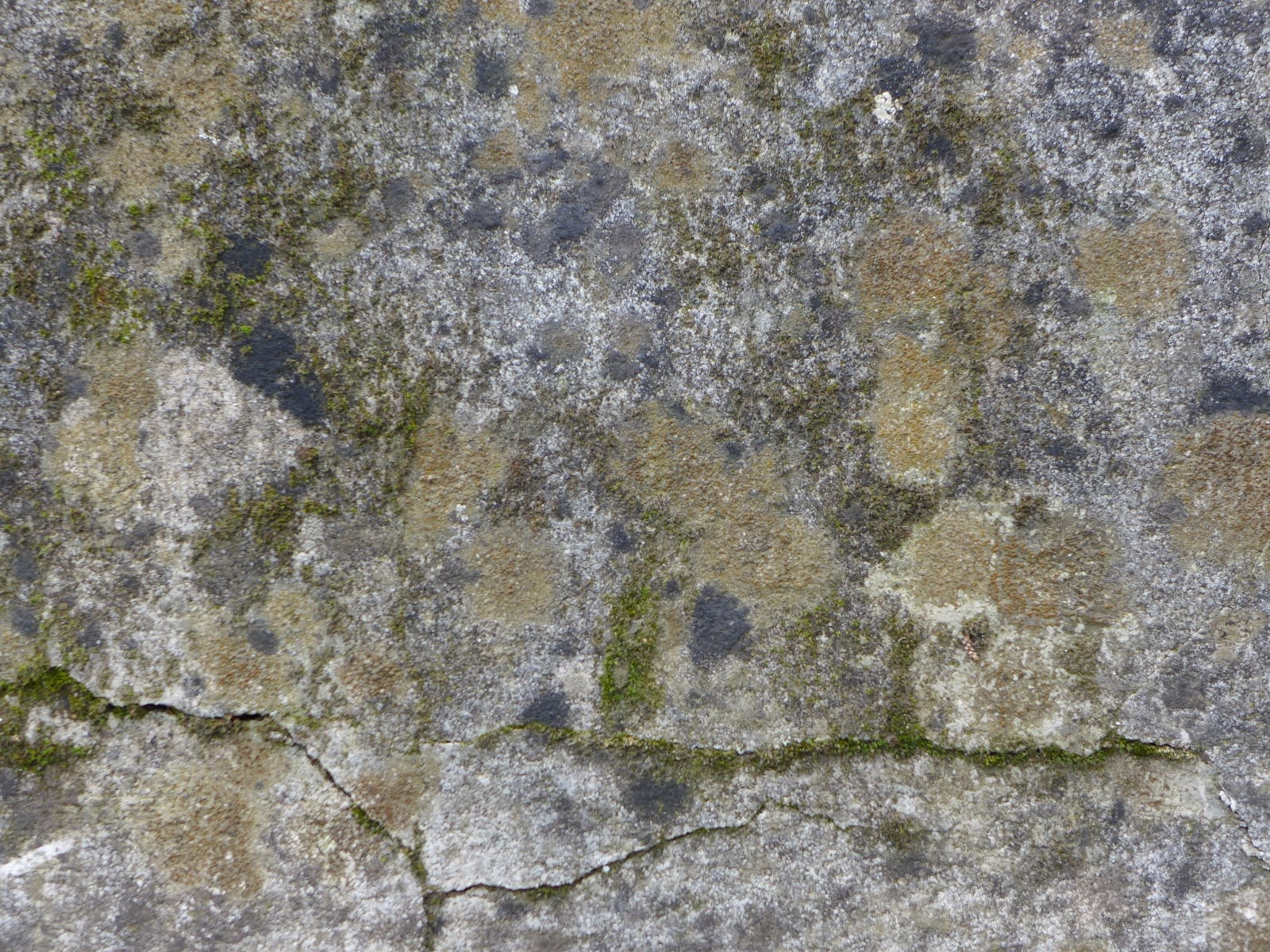 textura, abstracto, vieja, pared, humedad, 720P, HD Wallpaper