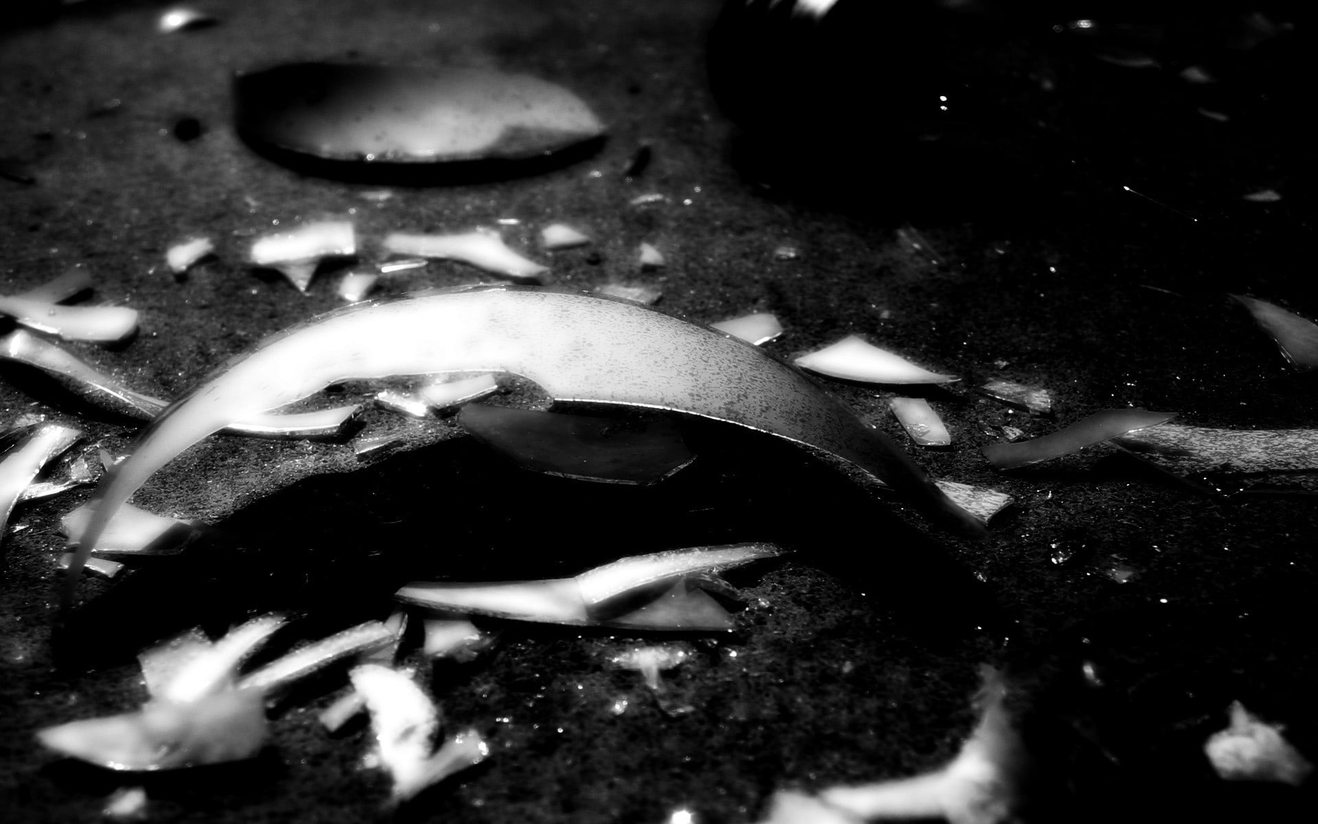 broken glass, water, 1080P, swimming, close-up, sea, leaf, day, underwater, selective focus, nature, animal themes, sea life, broken, animal, fish, no people, HD Wallpaper