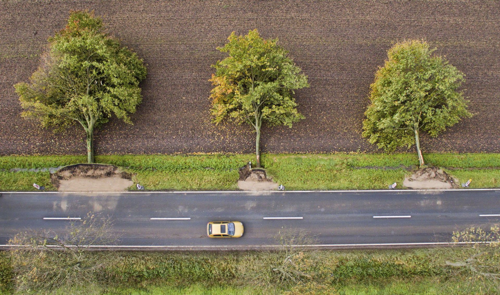 animal themes, day, drone photo, sign, built structure, 1080P, environment, mammal, trees, text, birds eye view, architecture, no people, high angle view, HD Wallpaper