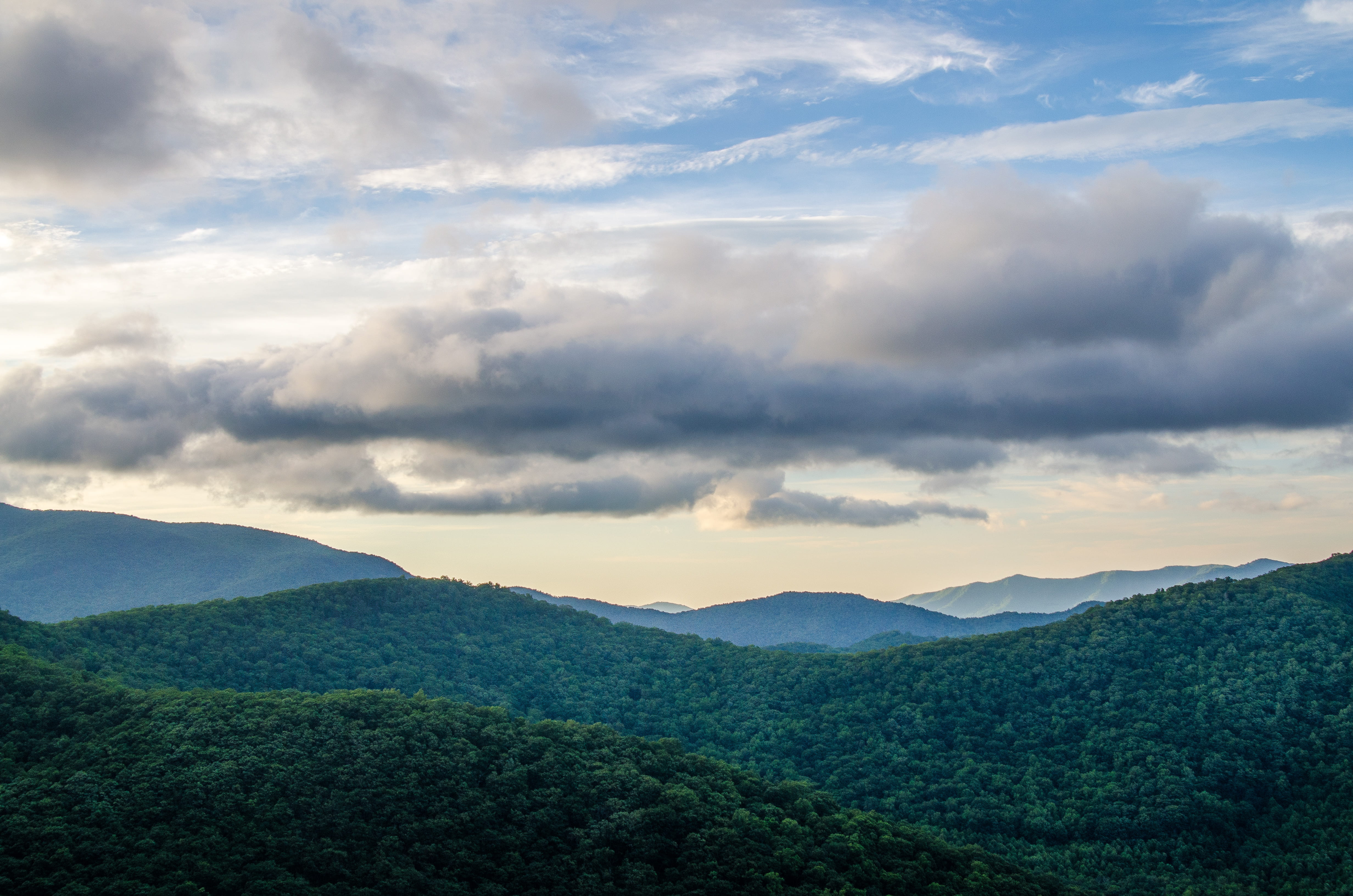 tree, tea crop, plant, sky, day, mountain, nature, landscape, clouds, idyllic, tranquility, beauty in nature, north carolina, green color, 4K, tranquil scene, HD Wallpaper