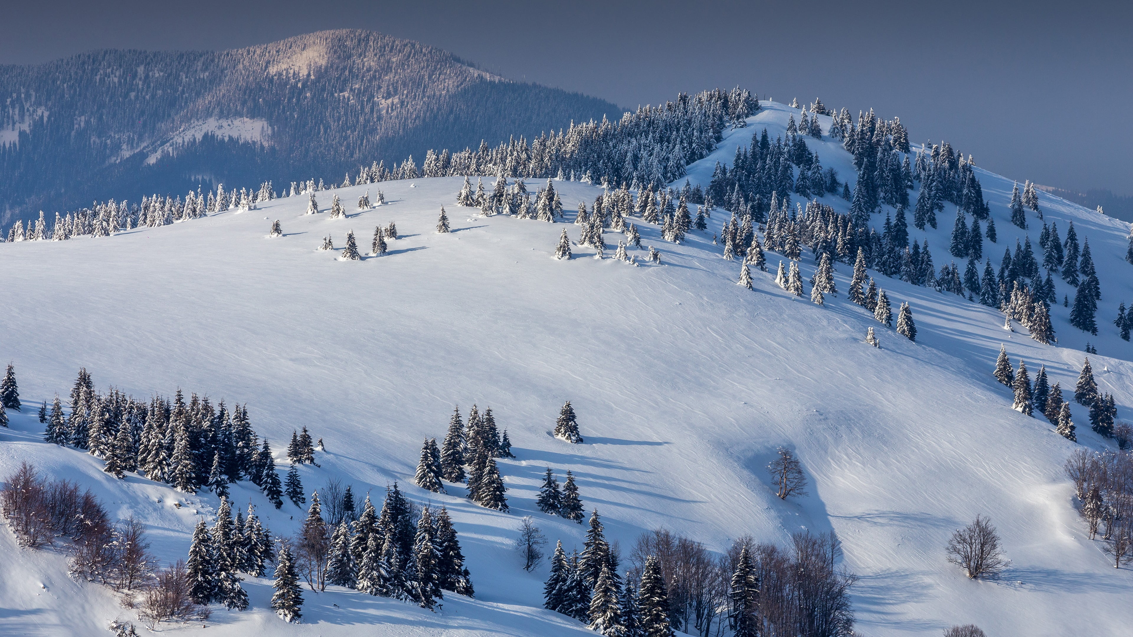 mountain peak, cold temperature, landscape, donovaly, ski resort, outdoors, architecture, day, velka fatra, forest, snow, pines, no people, winter, scenics - nature, HD Wallpaper