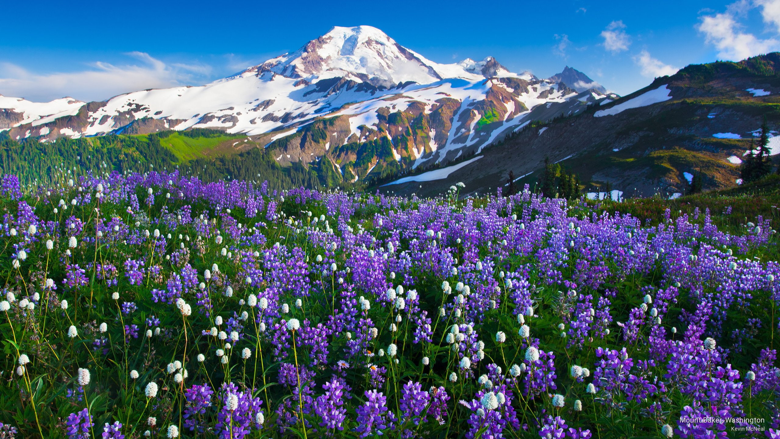 baker, Mountains, 2K, mount, washington, HD Wallpaper