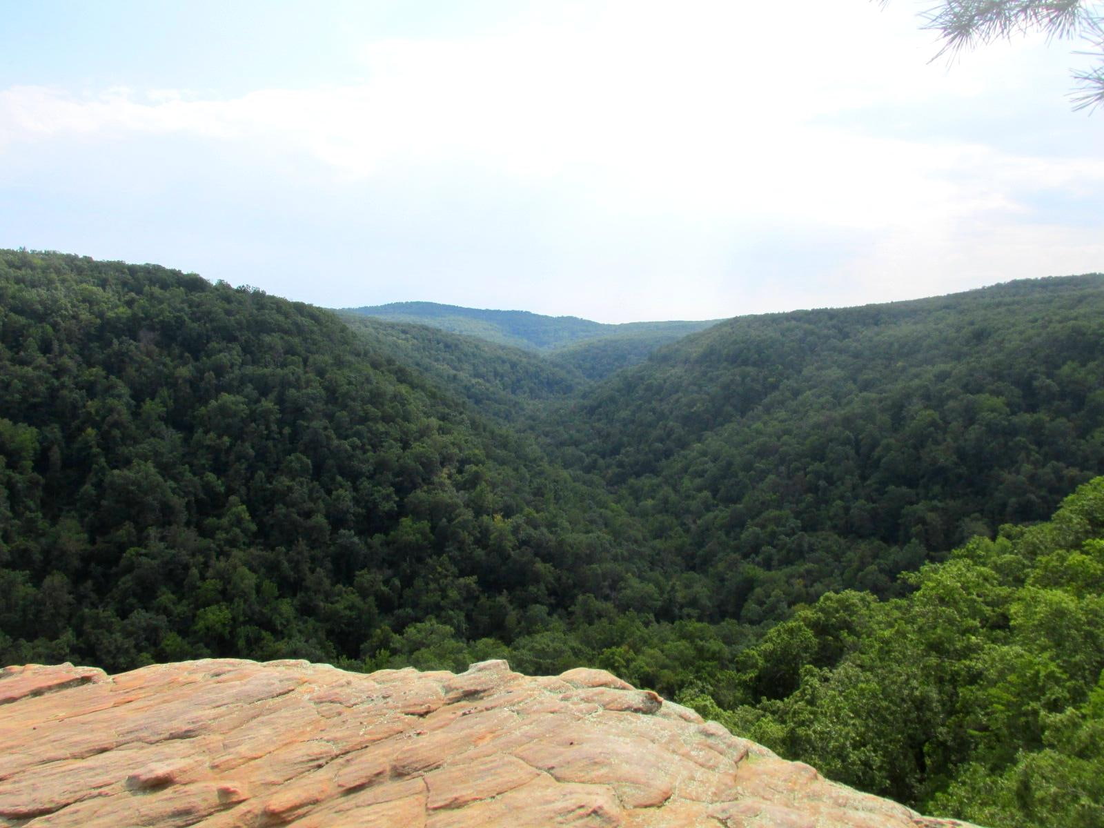 720P, national, ozark, point, nature, photography, outdoors, whiter, mountains, forest, HD Wallpaper