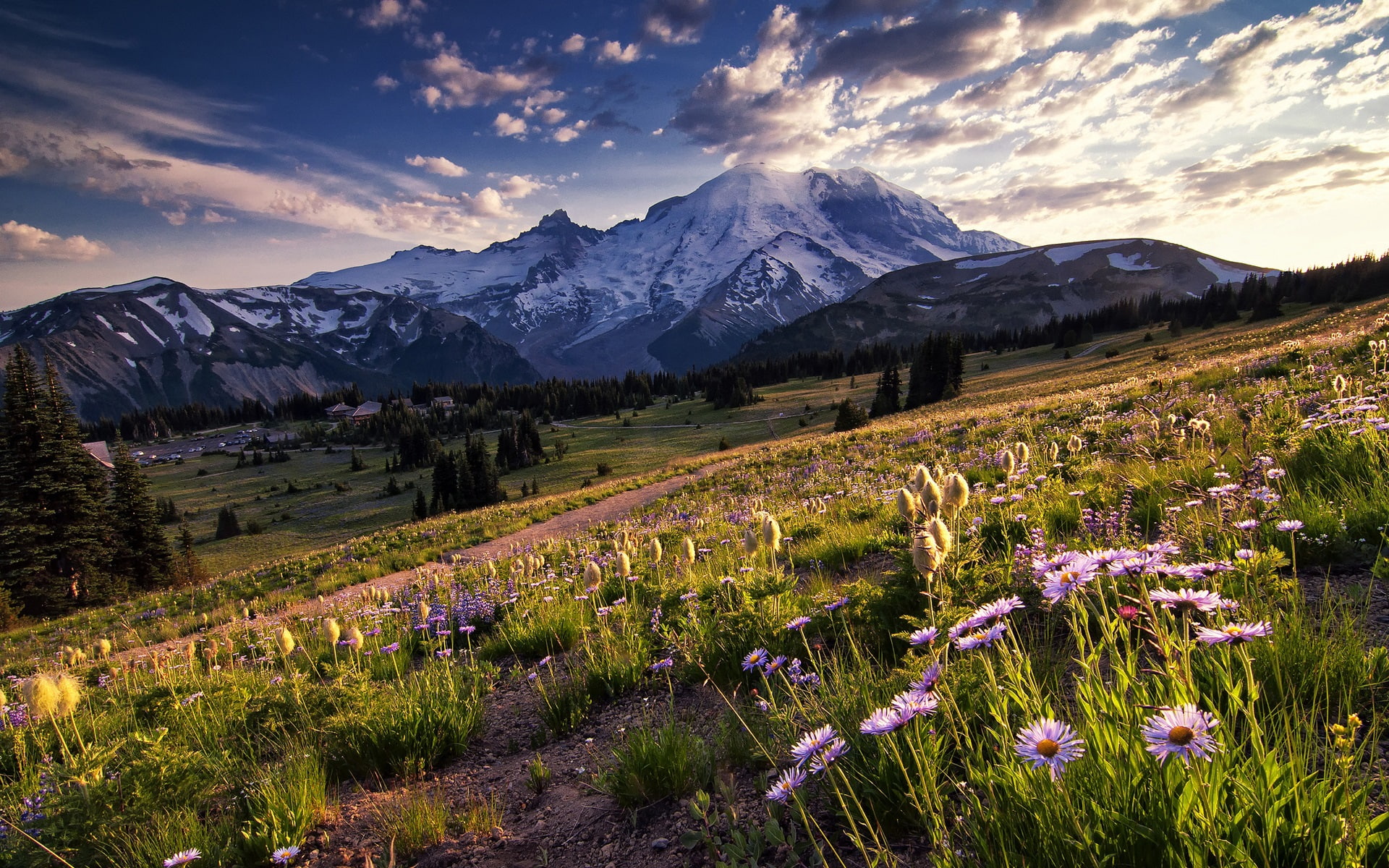 National, Park, Mountains, USA, Washington, 1080P, Flowers, Sunlight, Meadow, Trees, HD Wallpaper
