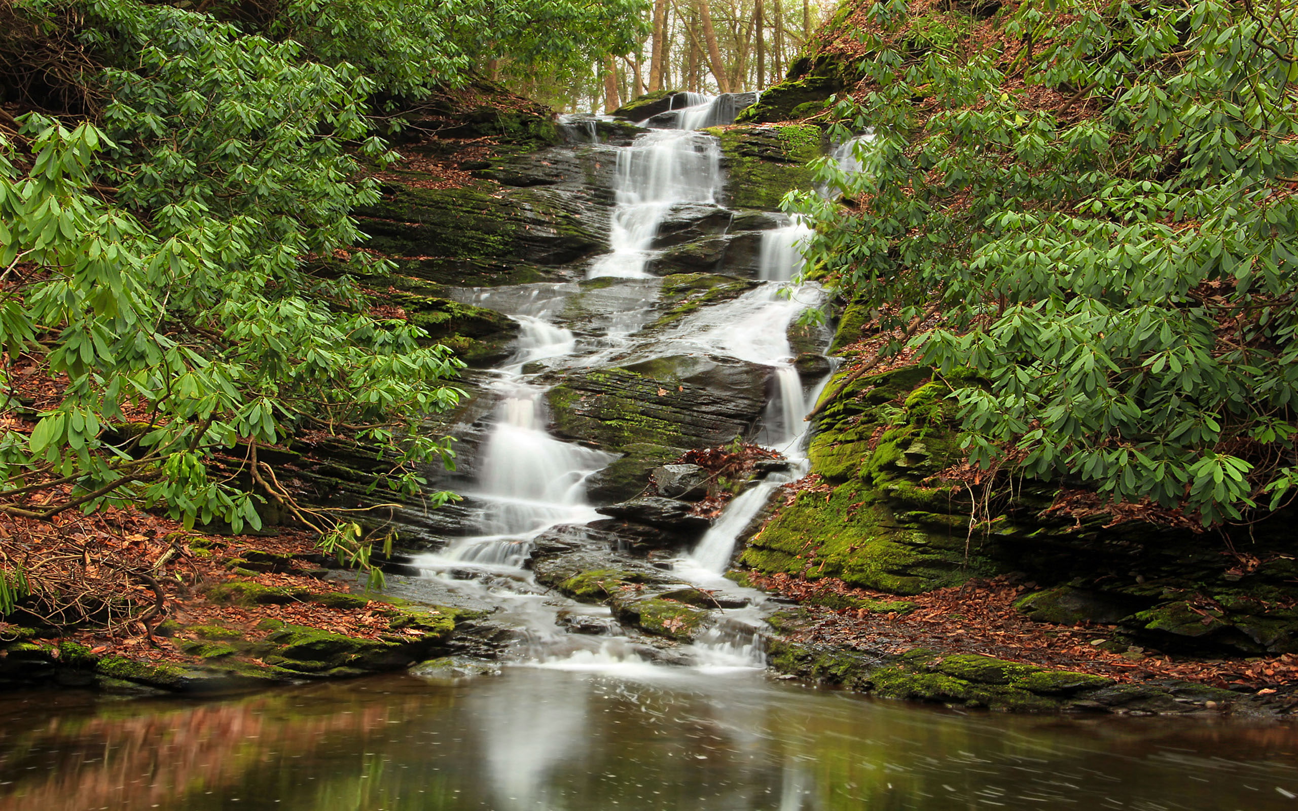 area, pennsylvania, river, border, gap, water, new, 2K, jersey, recreation, national, delaware, hd, HD Wallpaper