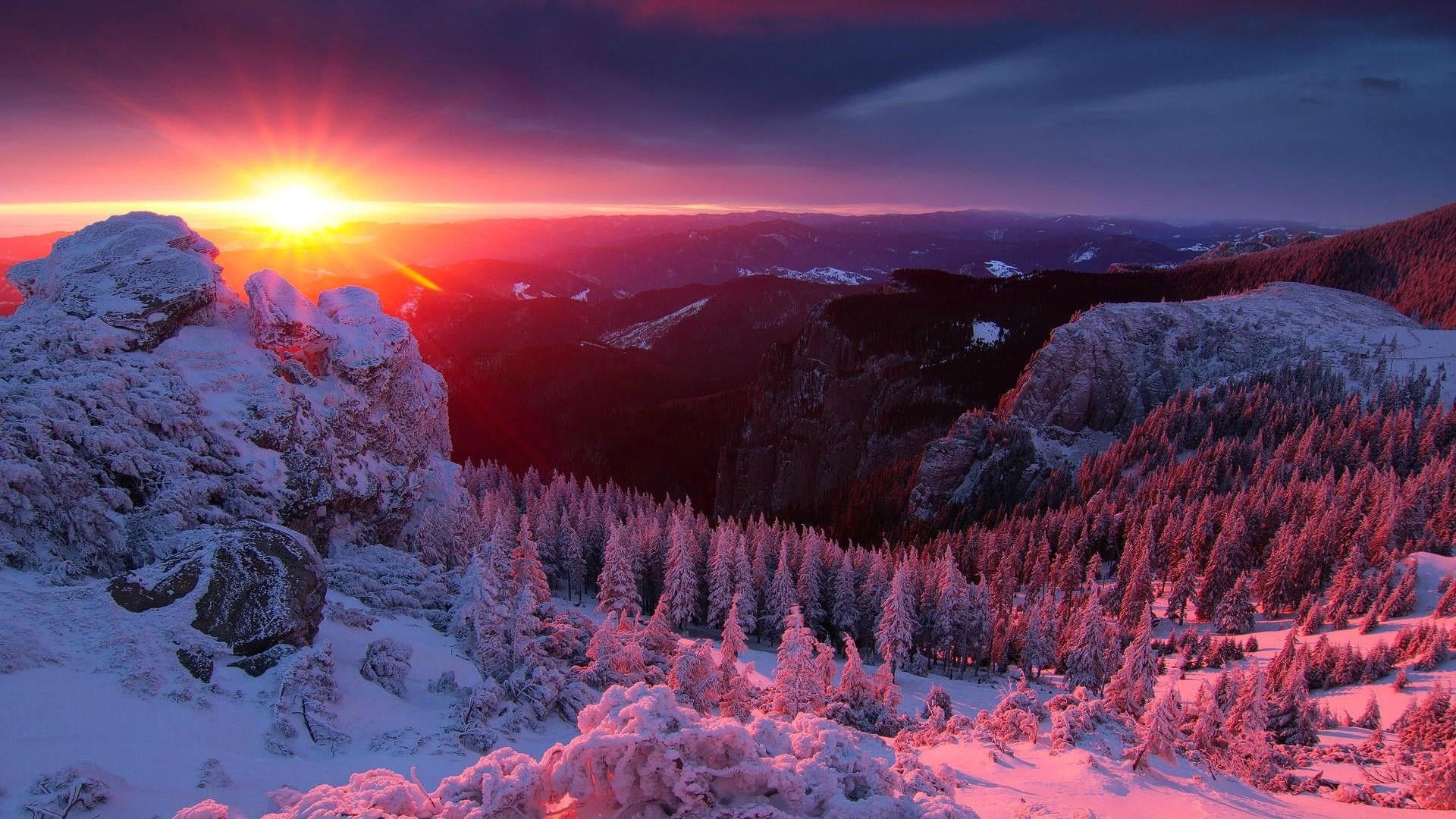 coniferous tree, europe, winter, land, cloud - sky, purple, mountain range, sunlight, view, sunset, tranquil scene, massif, scenics - nature, mountain, HD Wallpaper
