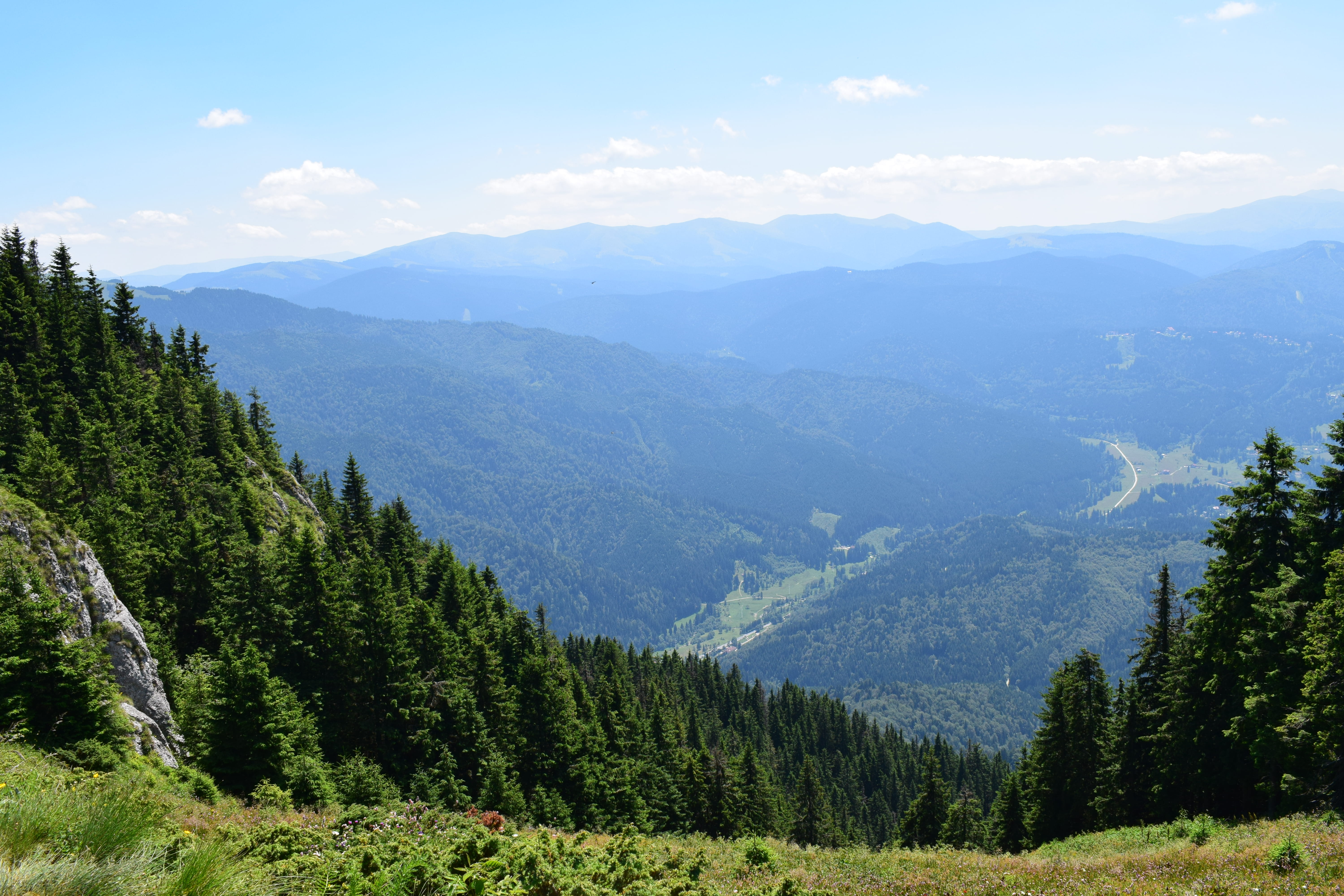 nature, cloud - sky, poiana brasov, non-urban scene, green color, pine tree, remote, tree, postăvarul massif, mountain, environment, mountain peak, mountain range, HD Wallpaper