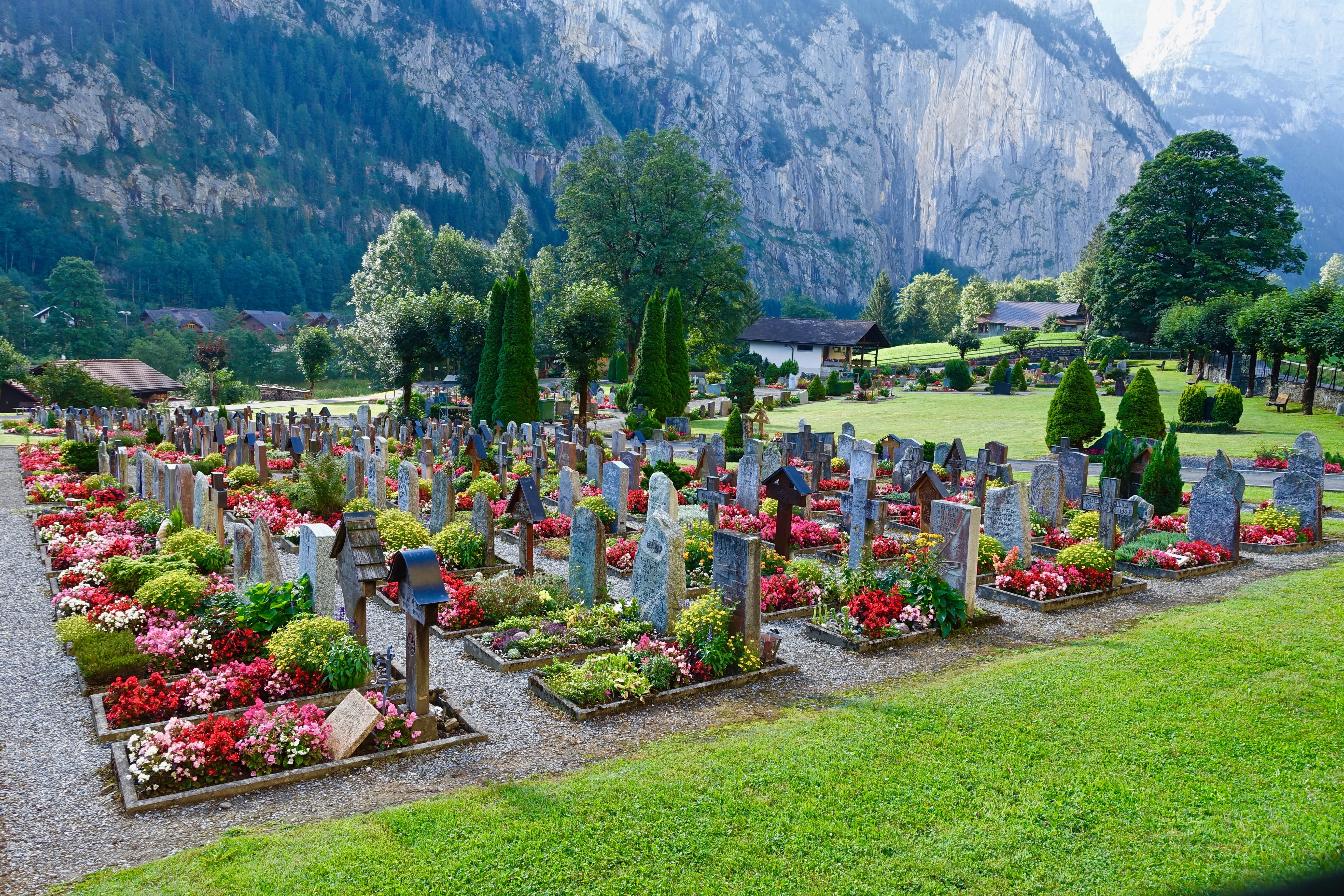 panorama, grass, day, outdoors, scenics - nature, tranquility, tree, growth, beauty in nature, grave, 5K, no people, alps, tombstone, memorial, lauterbrunnen, HD Wallpaper