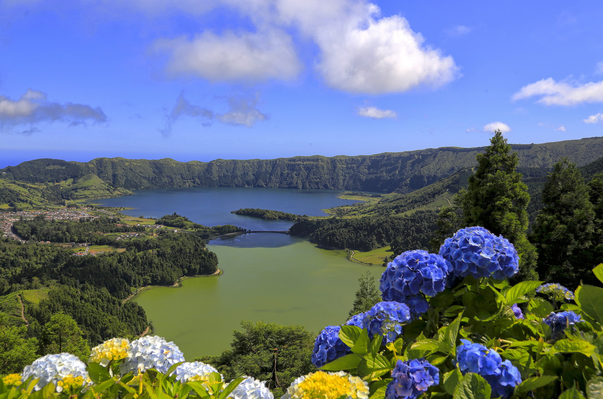 the island of San Miguel, hydrangea, blue, Portugal, lake, yellow, 1080P, flowers, white, mountains, Azores, HD Wallpaper