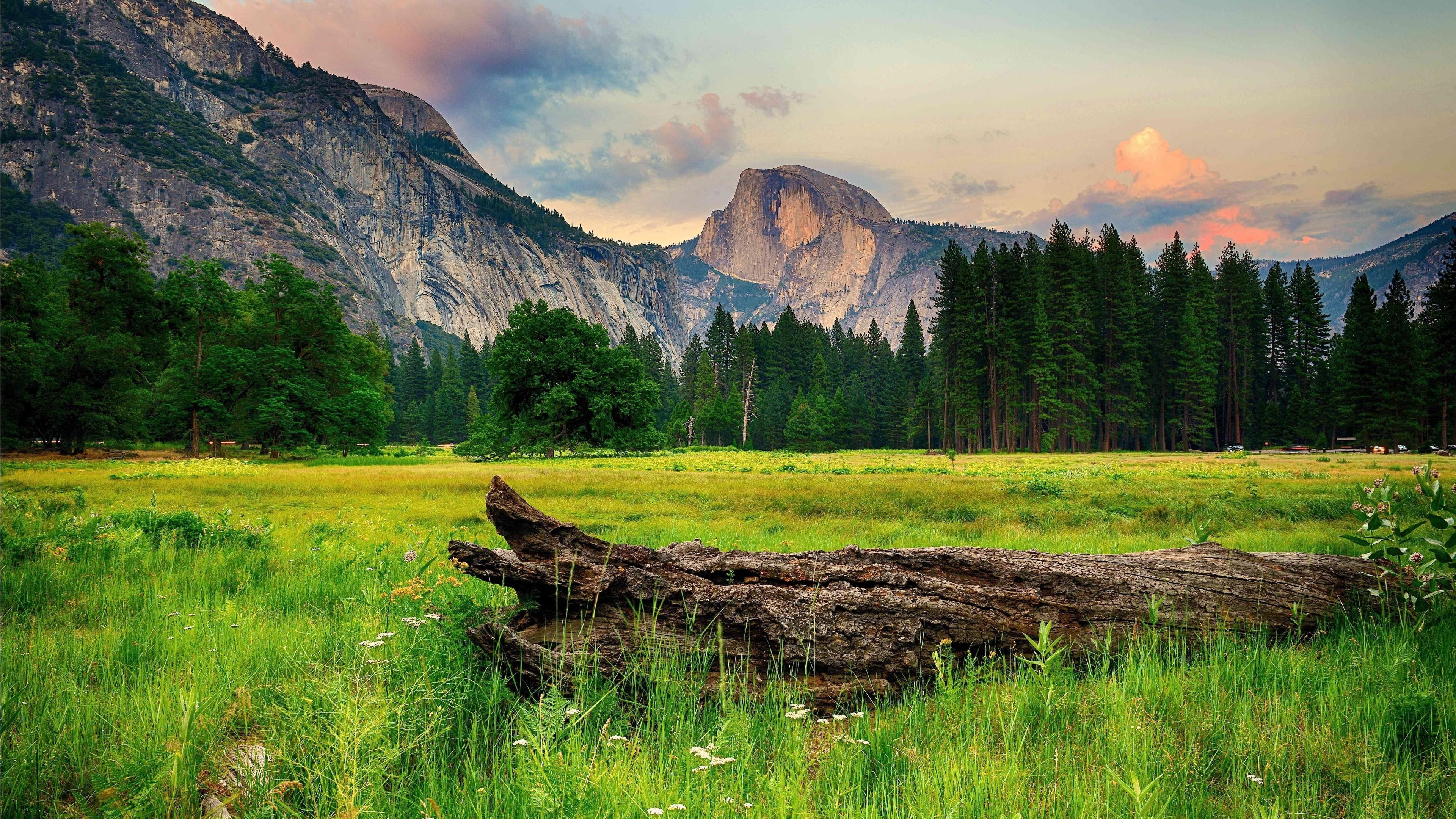 sunset, tranquility, mount scenery, water, trees, cloud - sky, clouds, trunk, 4K, tree, california, mountain, formation, mountainous landforms, lake, no people, HD Wallpaper