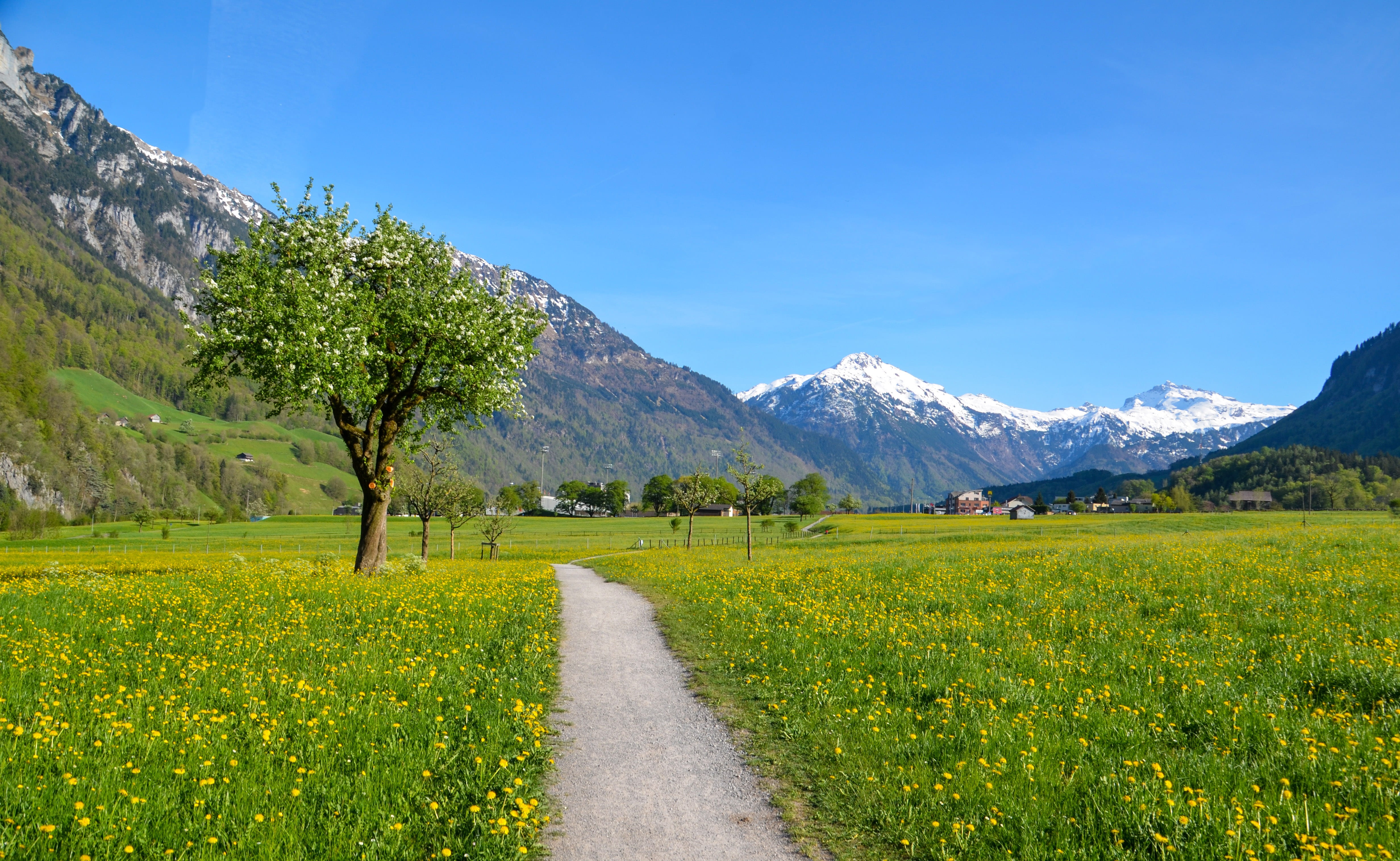 mountain peak, green color, outdoors, mountain, the way forward, tranquil scene, mountains, 4K, tourism, land, tranquility, environment, field, rural scene, HD Wallpaper
