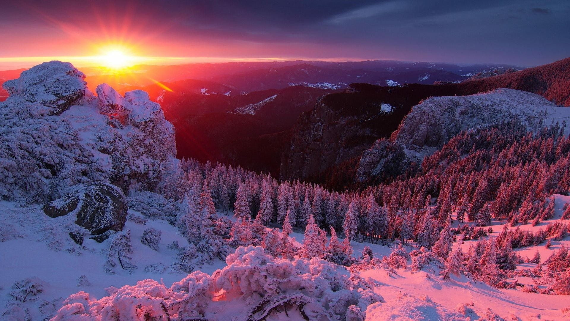 mountain, sun, purple, nature, 1080P, olympos of moldova, moldova, tranquility, non-urban scene, plant, woodland, cloud - sky, snow, europe, morning, ceahlau massif, HD Wallpaper