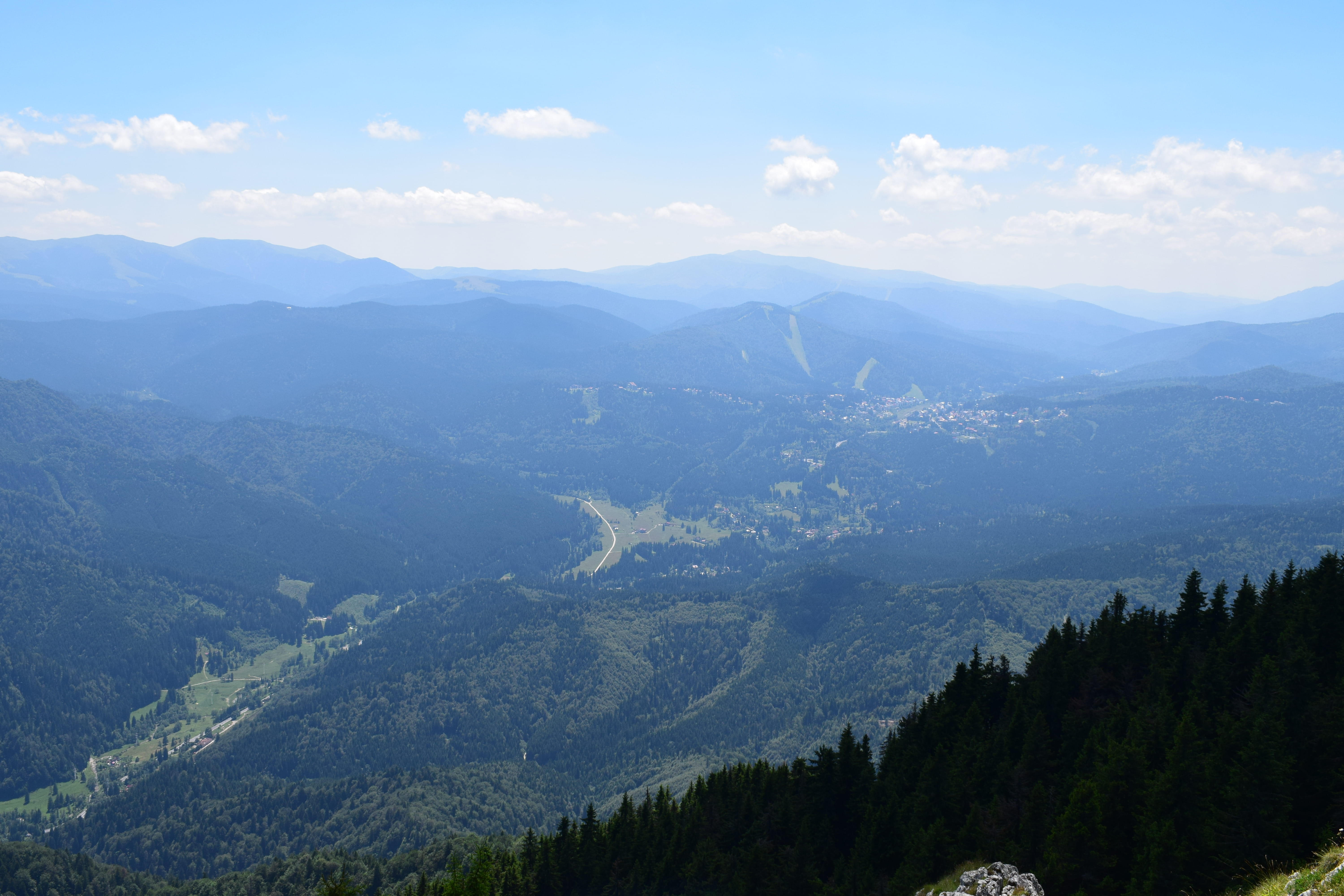 poiana brasov, remote, carpathian mountains, scenics - nature, plant, 5K, coniferous tree, sky, mountain peak, postăvarul massif, non-urban scene, forest, HD Wallpaper