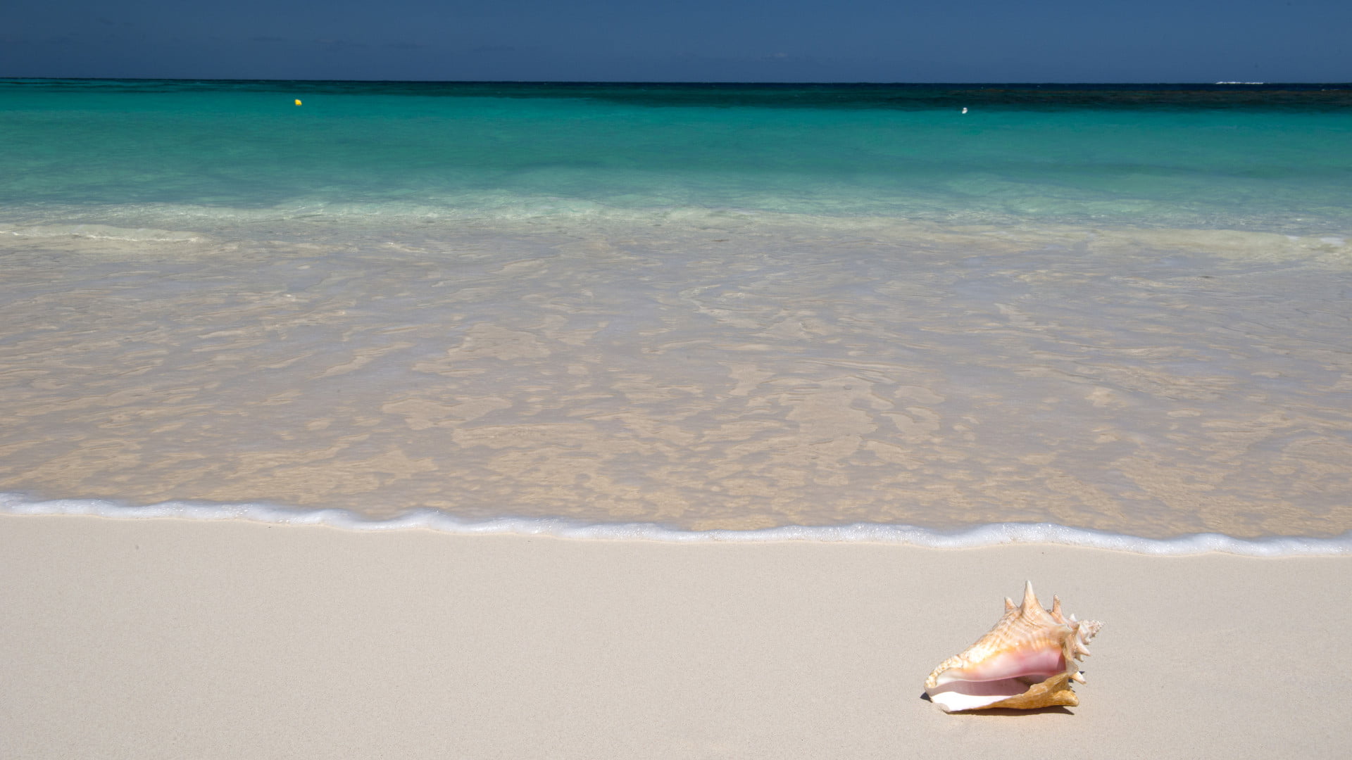 sunny, sea, relaxation, no people, bay, wave, marine, island, shore, land, horizon, coast, sand, sky, relax, one animal, tropical, seaside, tropical climate, HD Wallpaper