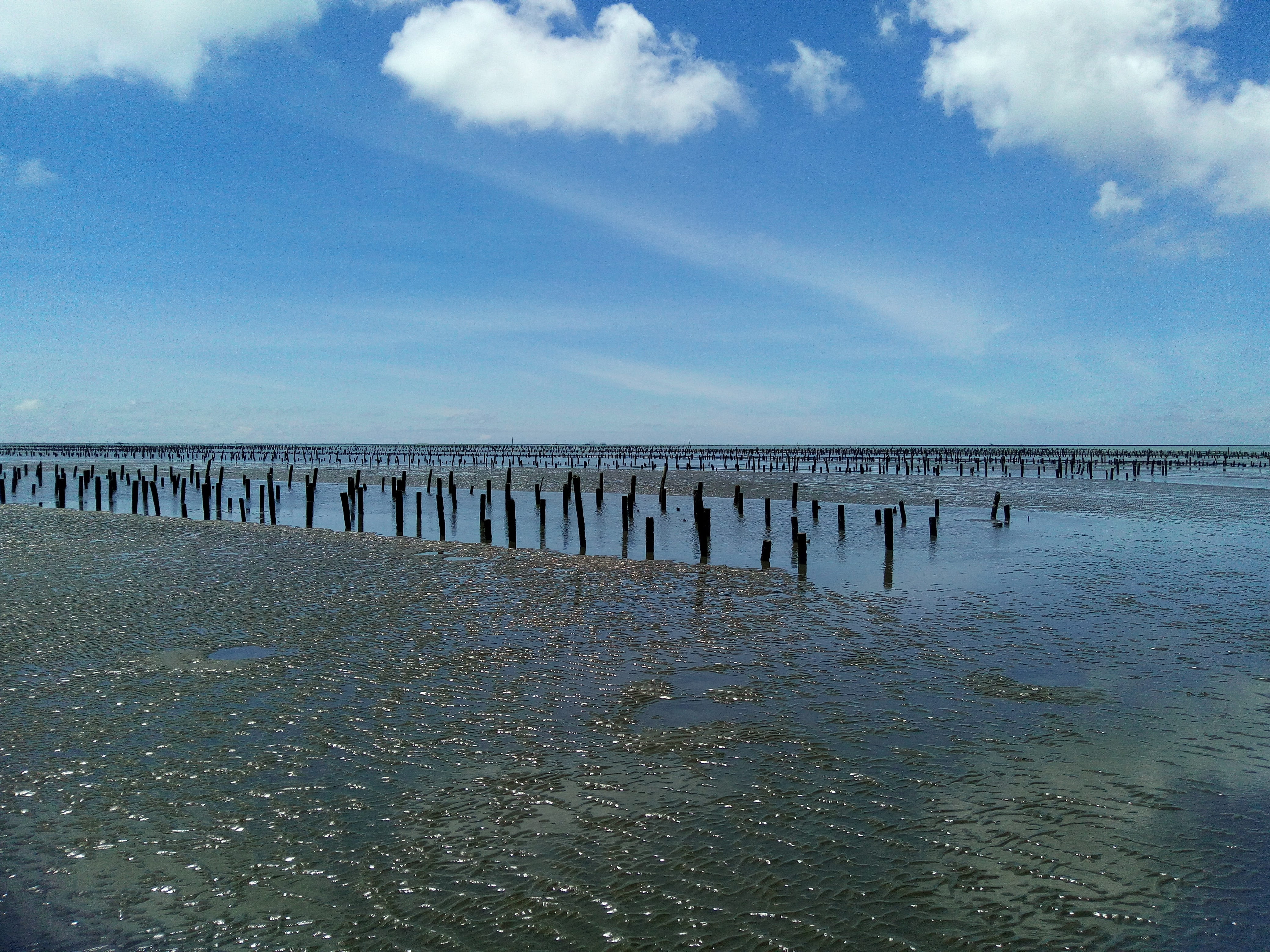 day, chiayi, beauty in nature, cloud - sky, scenics - nature, wooden post, pier, horizon, sea, groyne, no people, wood - material, outside the umbrella top chau, HD Wallpaper