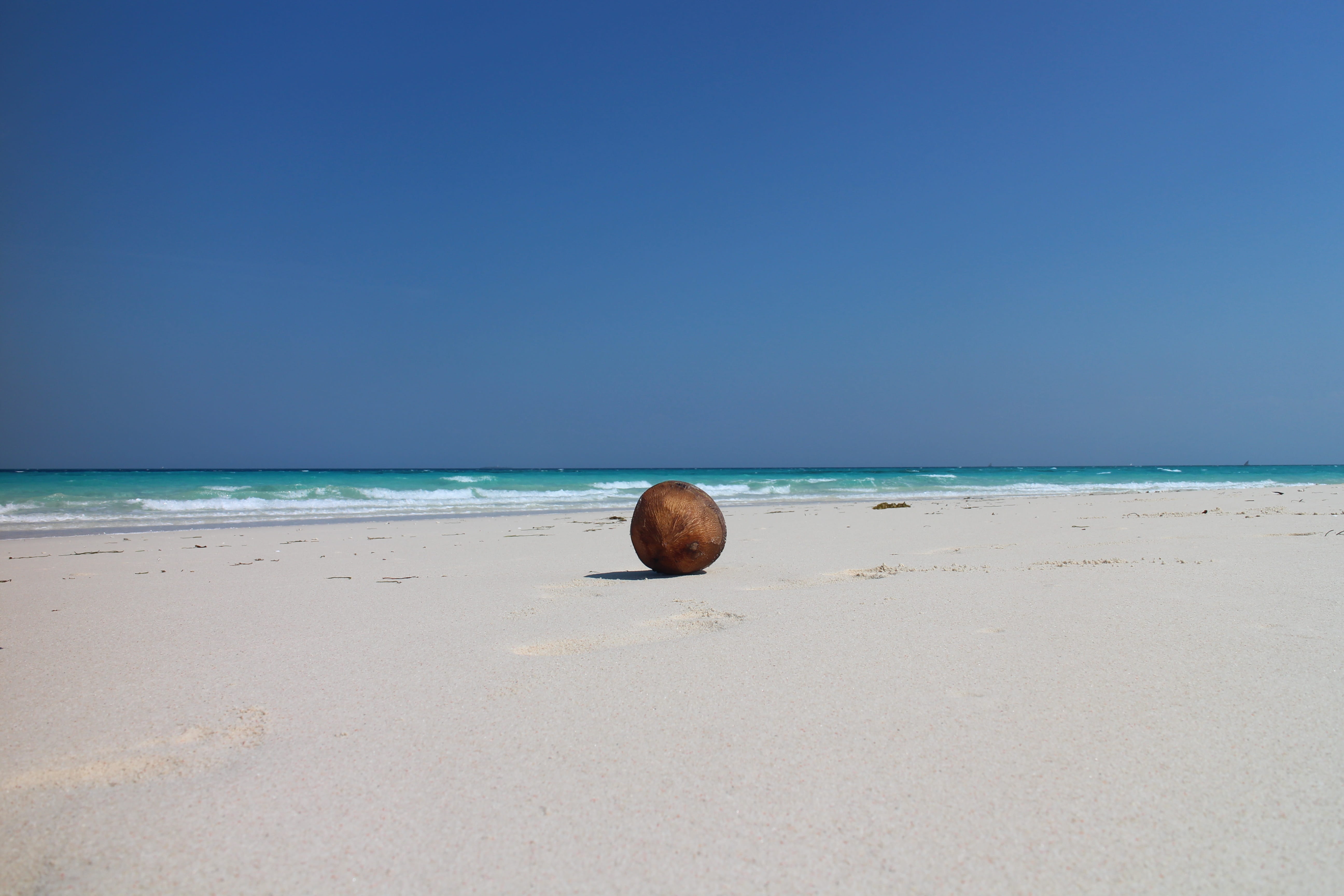 clear sky, Exotic, view, lake, land, outdoors, sandbar, palm, beauty in nature, horizon, 5K, paradise, blue, day, sea, nature, zanzibar, scenics - nature, HD Wallpaper