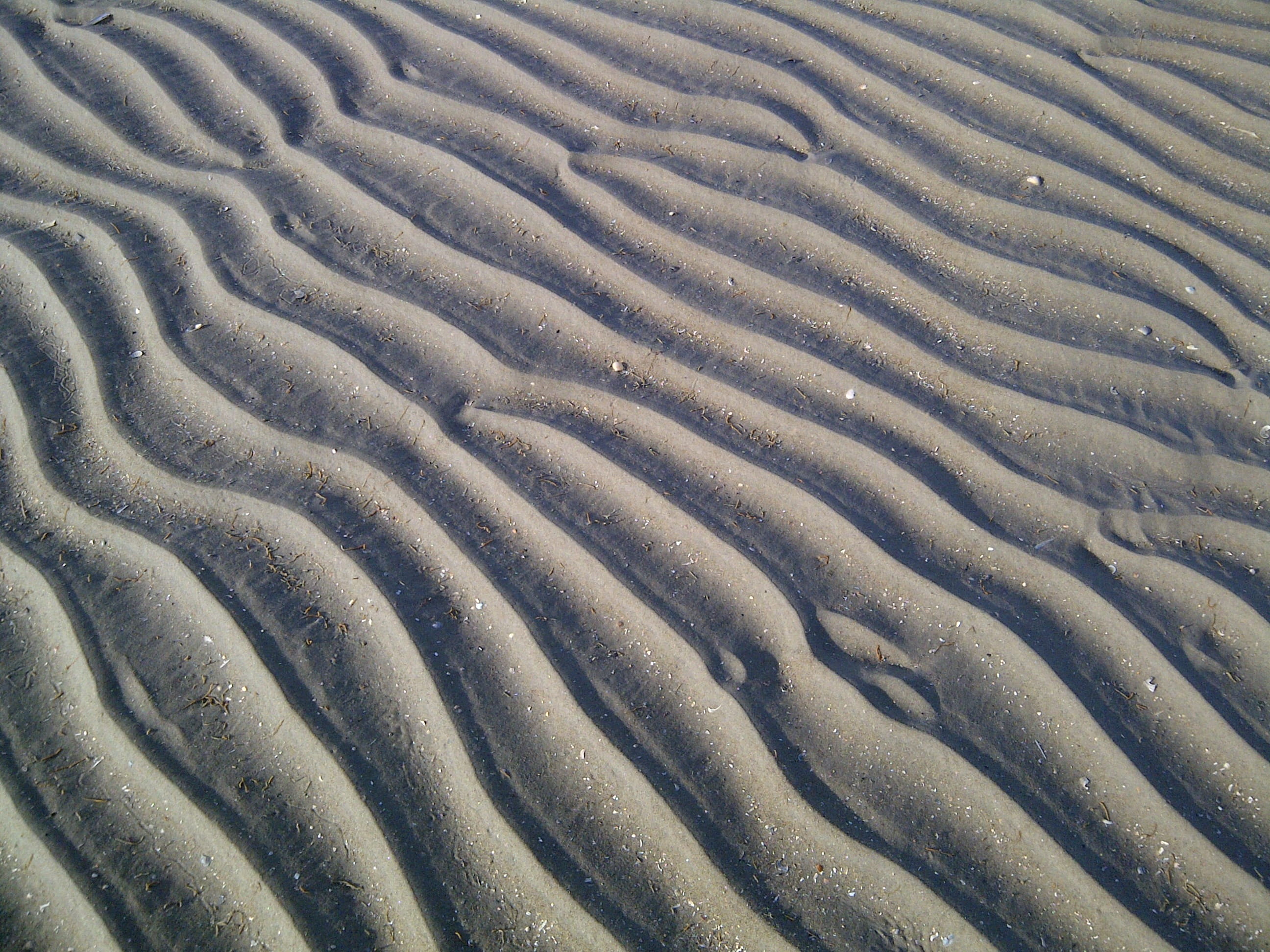 scenics - nature, full frame, North Sea, water, arid climate, animal wildlife, animal body part, Wadden Sea, land, Watts, Sandbar, natural pattern, pattern, HD Wallpaper