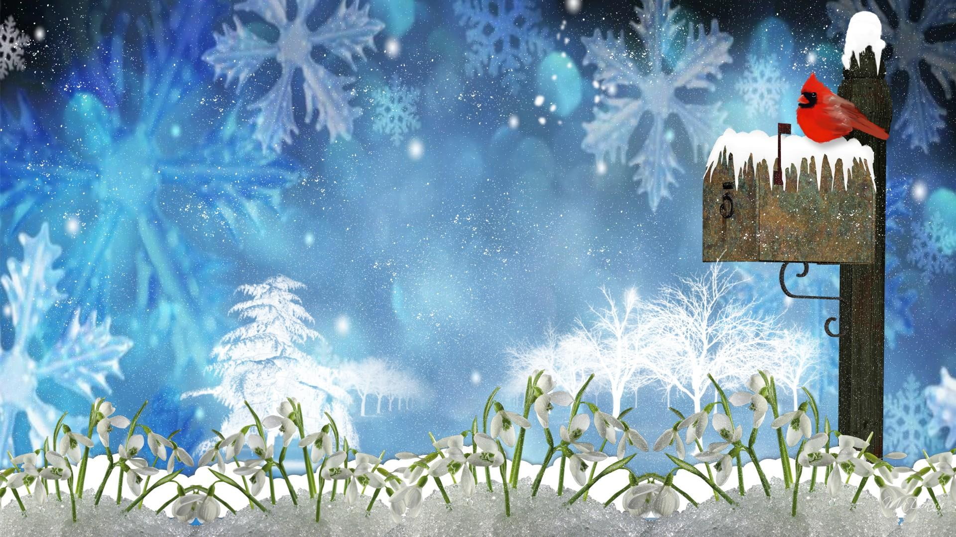 mailbox, mail, blue, flowers, snow, flakes, 1080P, early spring, petal, box, crocus, winters, flower, artwork, cardinal, wint, blues, red bird, firefox persona, HD Wallpaper