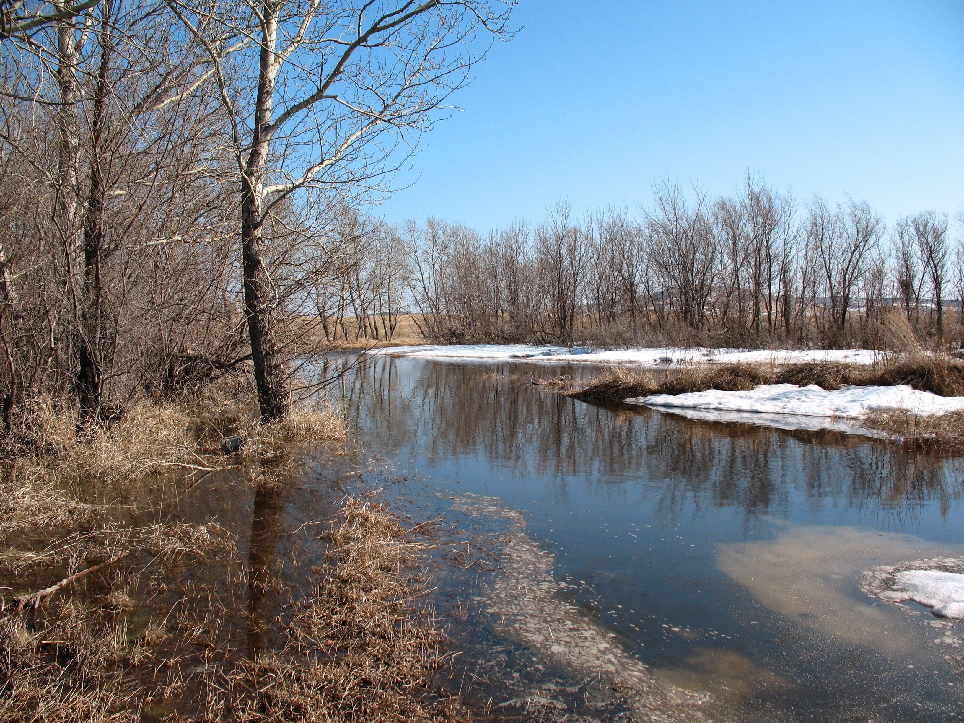 winter, tranquil scene, tranquility, reflection, 2K, bare tree, outdoors, snow, water, Dirt, plant, day, non-urban scene, tree, scenics - nature, beauty in nature, HD Wallpaper