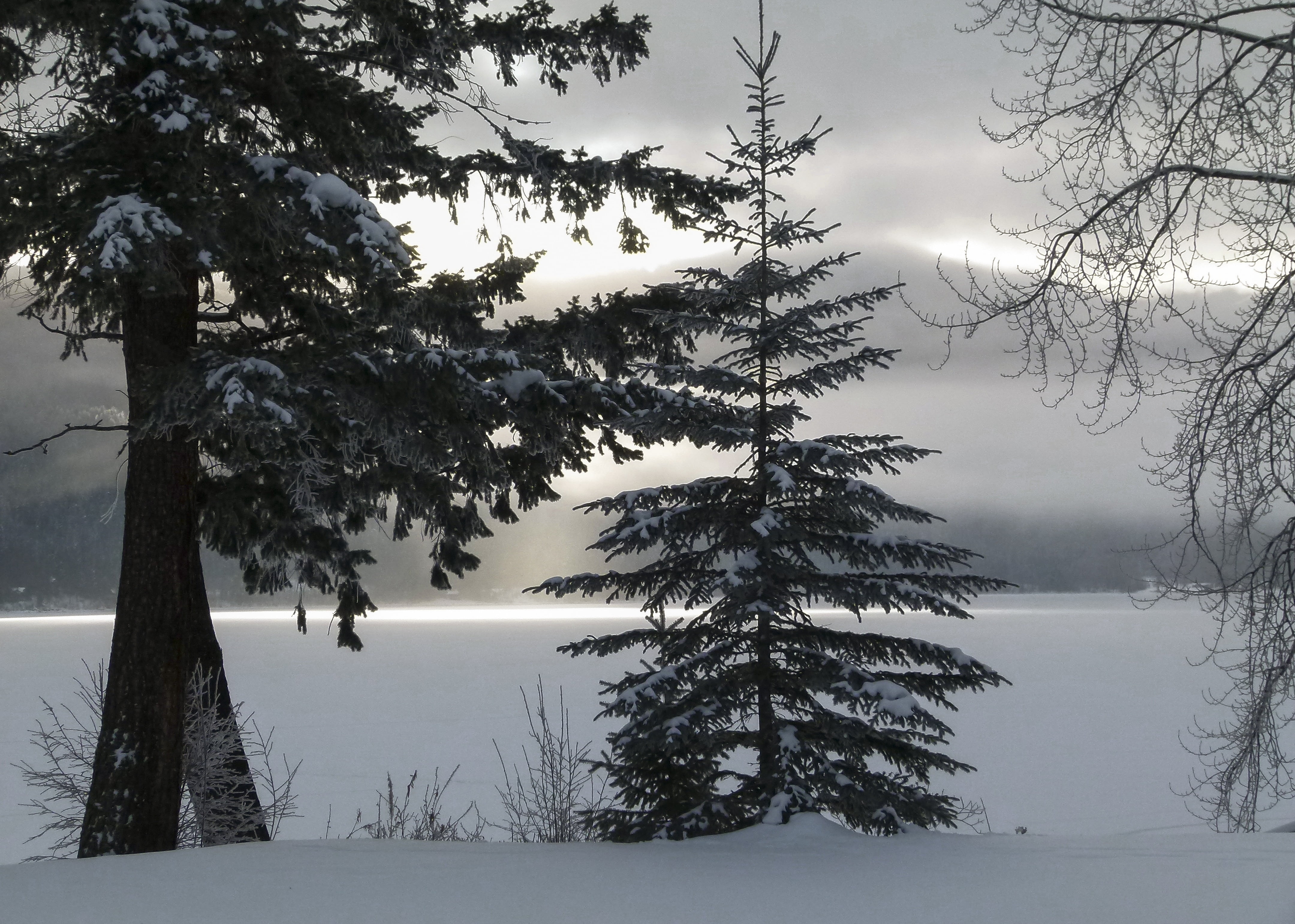 canada, land, plant, outdoors, sky, scenery, tree, 4K, tranquility, landscape, beauty in nature, snow, nature, winter, no people, cold temperature, lake, HD Wallpaper