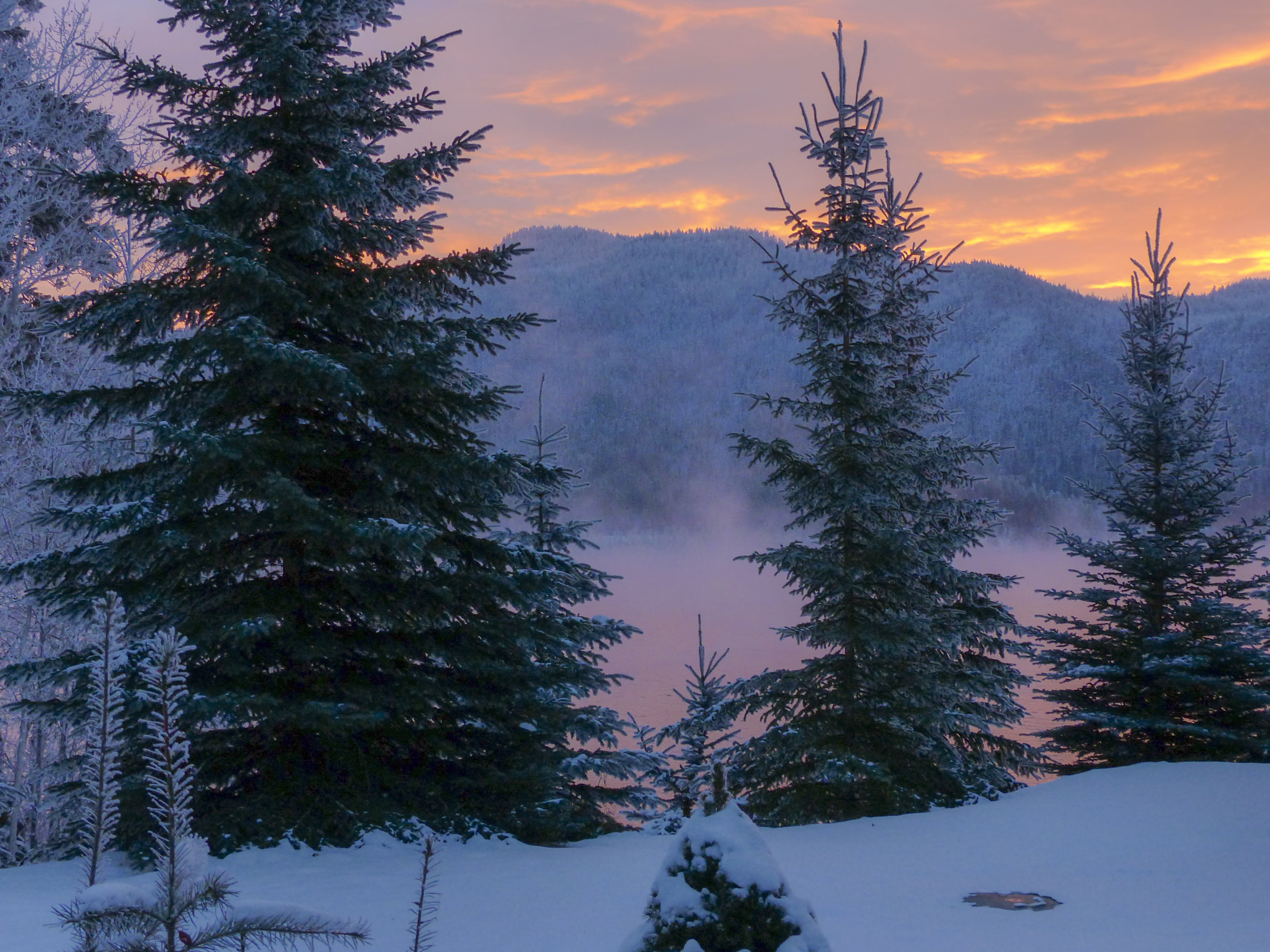 trees, land, snow landscape, sunset, peak, coniferous tree, beauty in nature, winter magic, nature, forest, canim lake, british columbia, environment, cloud - sky, HD Wallpaper