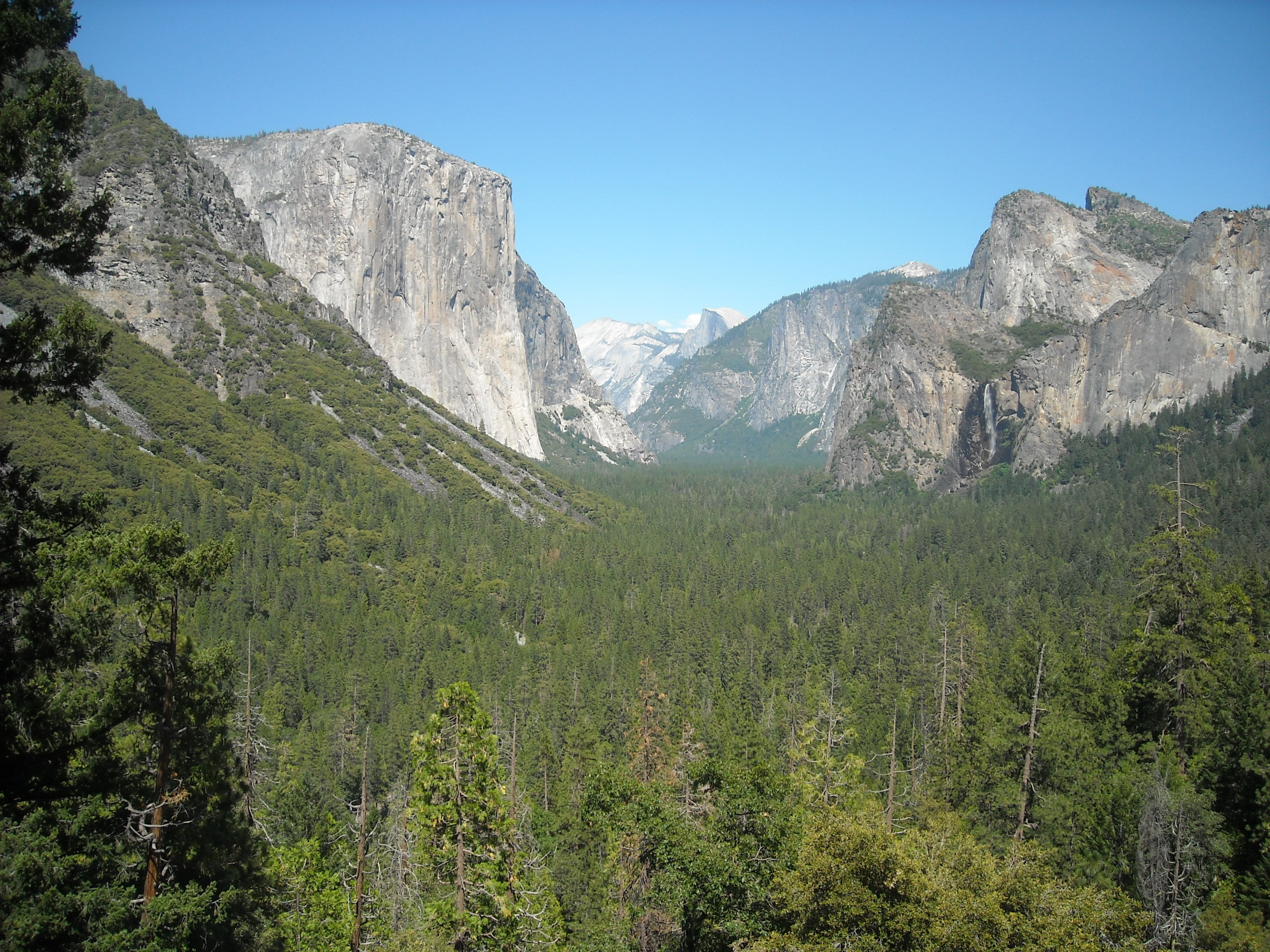 travel destinations, tree, formation, environment, coniferous tree, mountain, sky, tunnel, yosemite, national, idyllic, rock, nature, tranquil scene, mountain range, HD Wallpaper