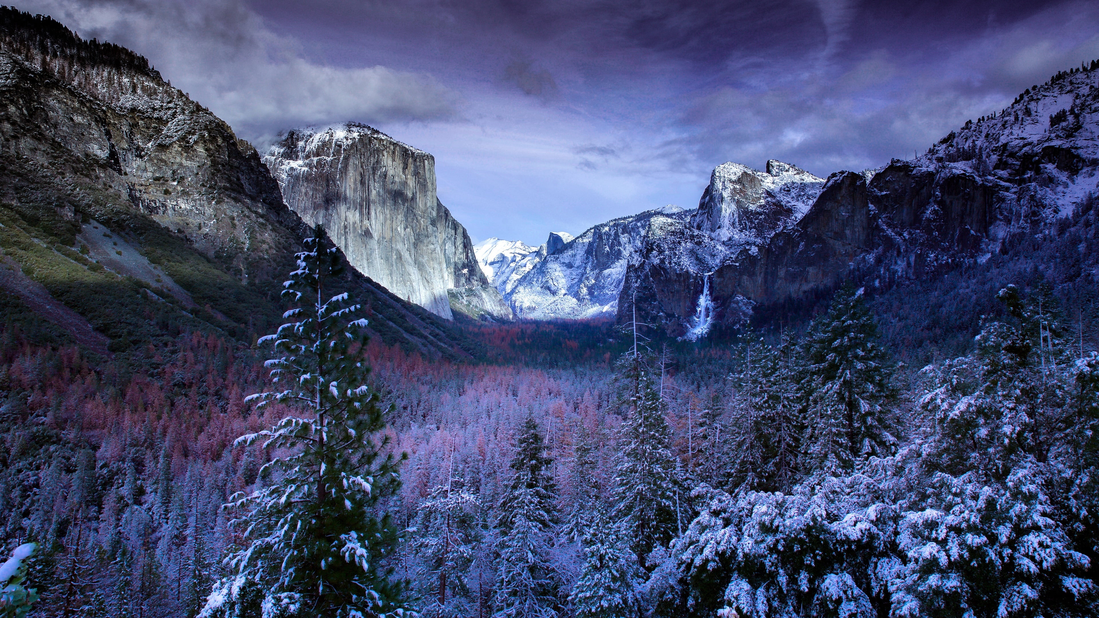 valley, hoarfrost, mountain range, scenics - nature, tree, pine woodland, frozen, united states, cloud - sky, snow, cold temperature, mountain, cathedral rocks, HD Wallpaper