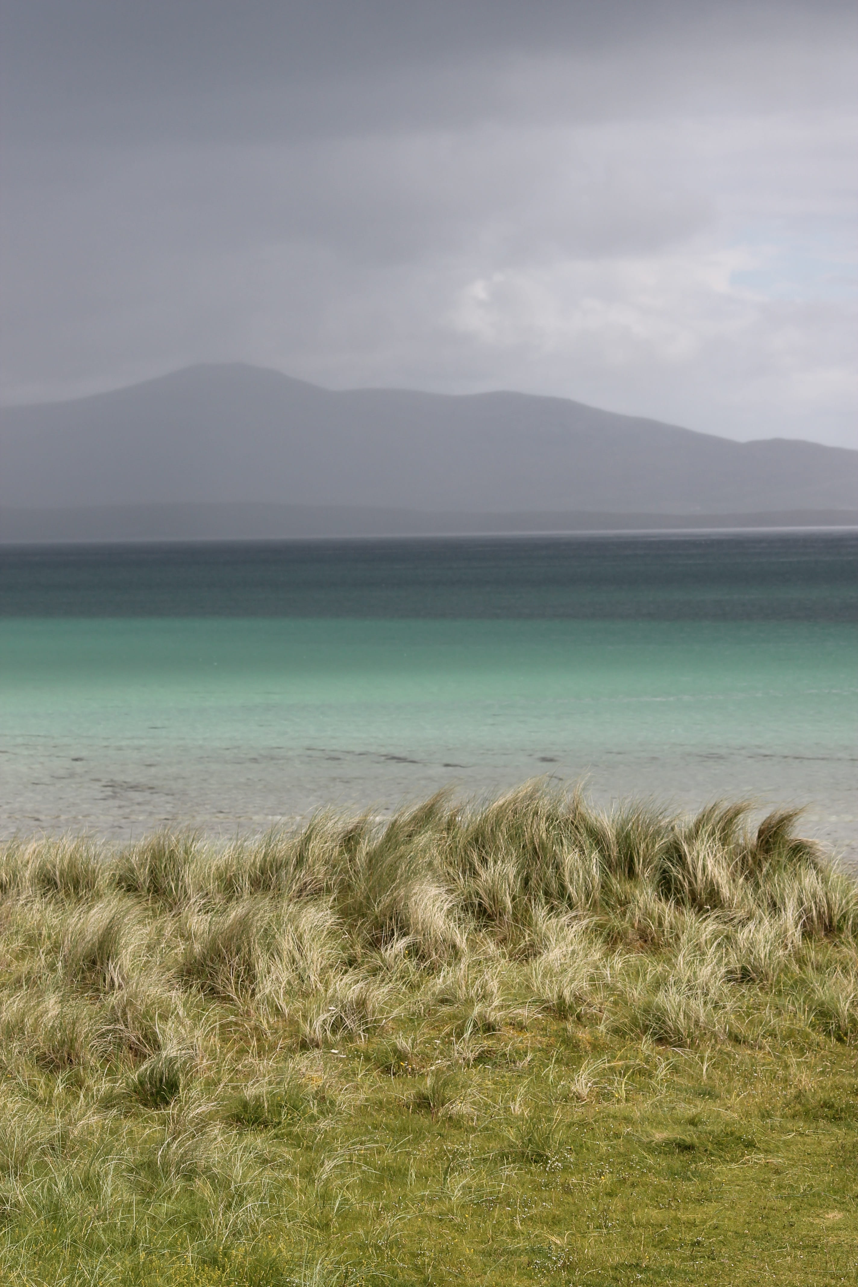 tranquility, non-urban scene, environment, plant, berneray, nature, mountain, 4K, scenics - nature, timothy grass, grass, day, scotland, sky, beauty in nature, Phone HD Wallpaper
