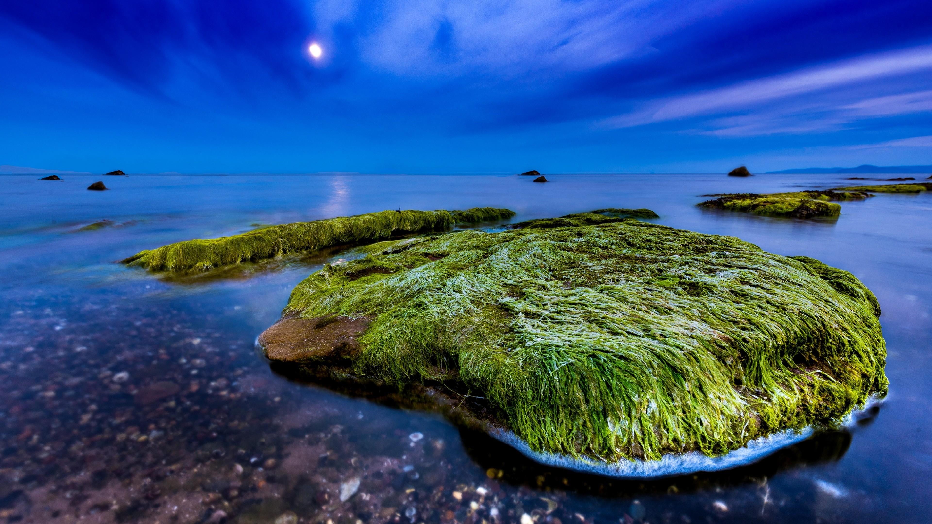 horizon over water, coast, blue, night, ocean, scenics - nature, horizon, sea, moss, tranquil scene, europe, plant, outdoors, sky, no people, moon, tranquility, HD Wallpaper
