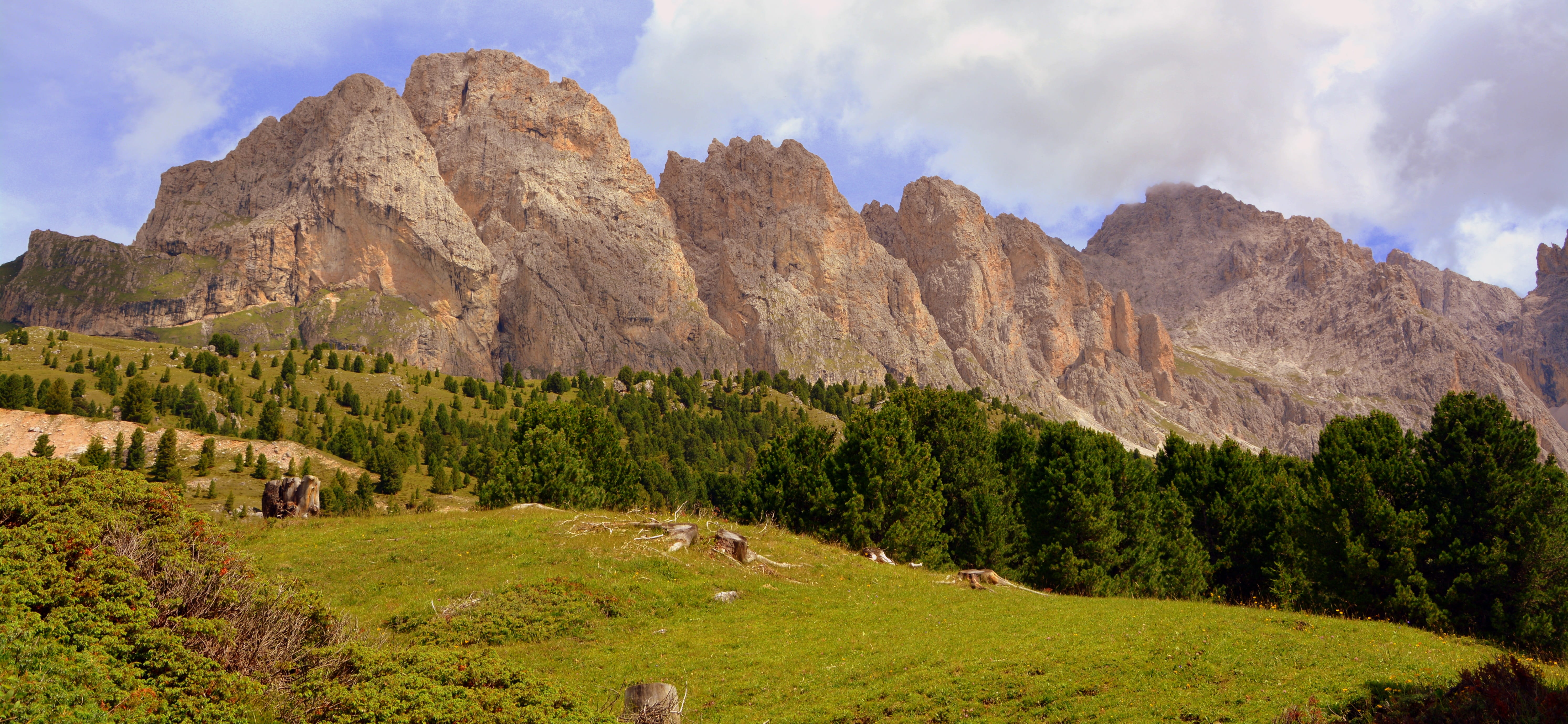 tree, travel, activity, coniferous tree, plant, pine tree, 5K, scenics - nature, sky, rock, clouds, nature, prato, landscape, cloud - sky, pine woodland, HD Wallpaper