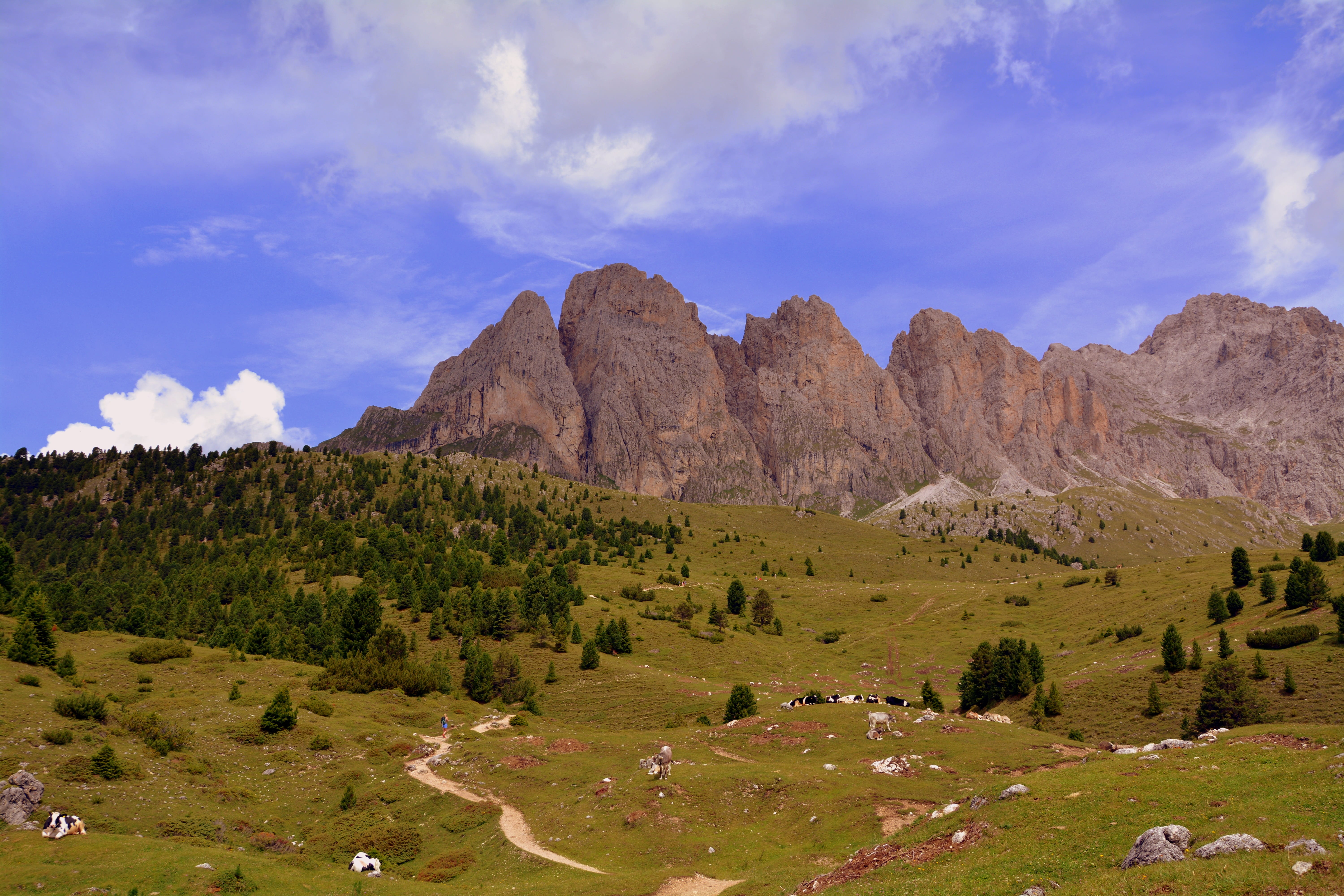 plant, clouds, prato, cloud - sky, formation, semi-arid, arid climate, rock formation, landscape, travel destinations, dolomites, land, mountain range, HD Wallpaper