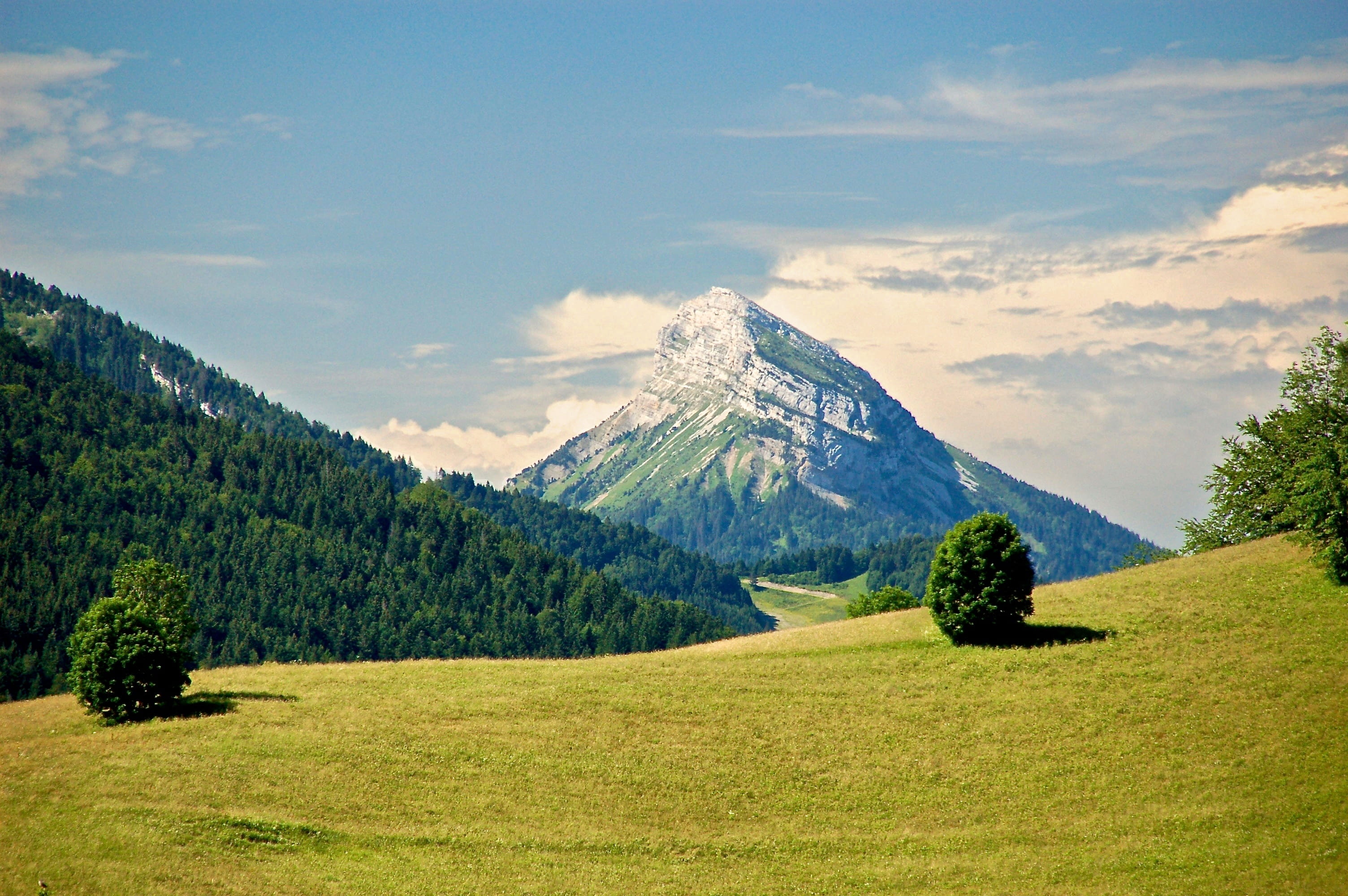 chartreuse, tranquil scene, alps, idyllic, mountain peak, landscape, french, french alps, grass, field, tranquility, nature, scenics - nature, snowcapped mountain, HD Wallpaper