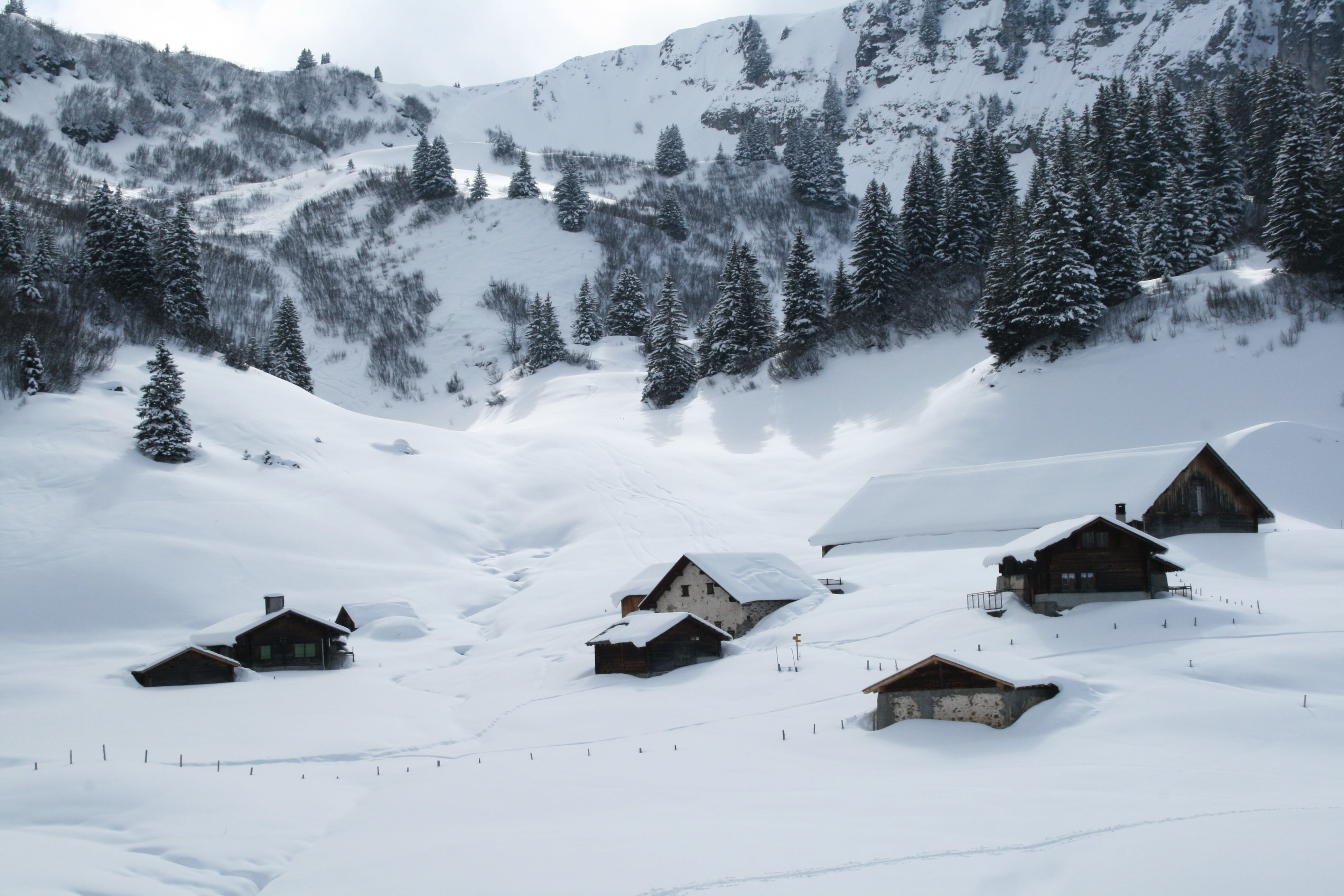 no people, cold - Temperature, nature, field, building, houses, brown, snow, forest, sun, 4K, tranquility, ice, cottage, built structure, tranquil scene, HD Wallpaper