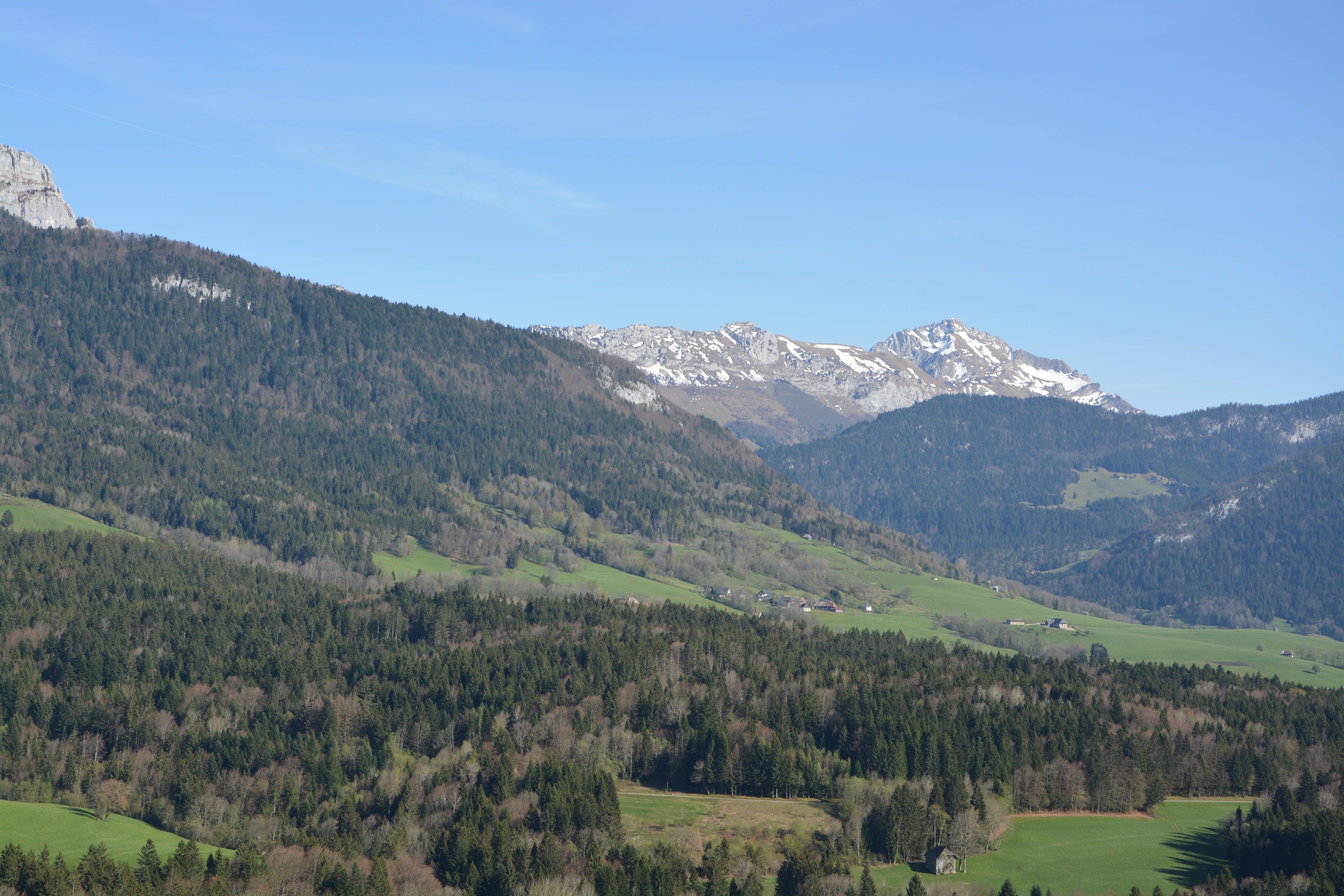 coniferous tree, haute-savoie, scenics - nature, panorama, snow lord, mont blanc, idyllic, nature, land, forest, 5K, landscape spring, calm, sky, hiking, HD Wallpaper