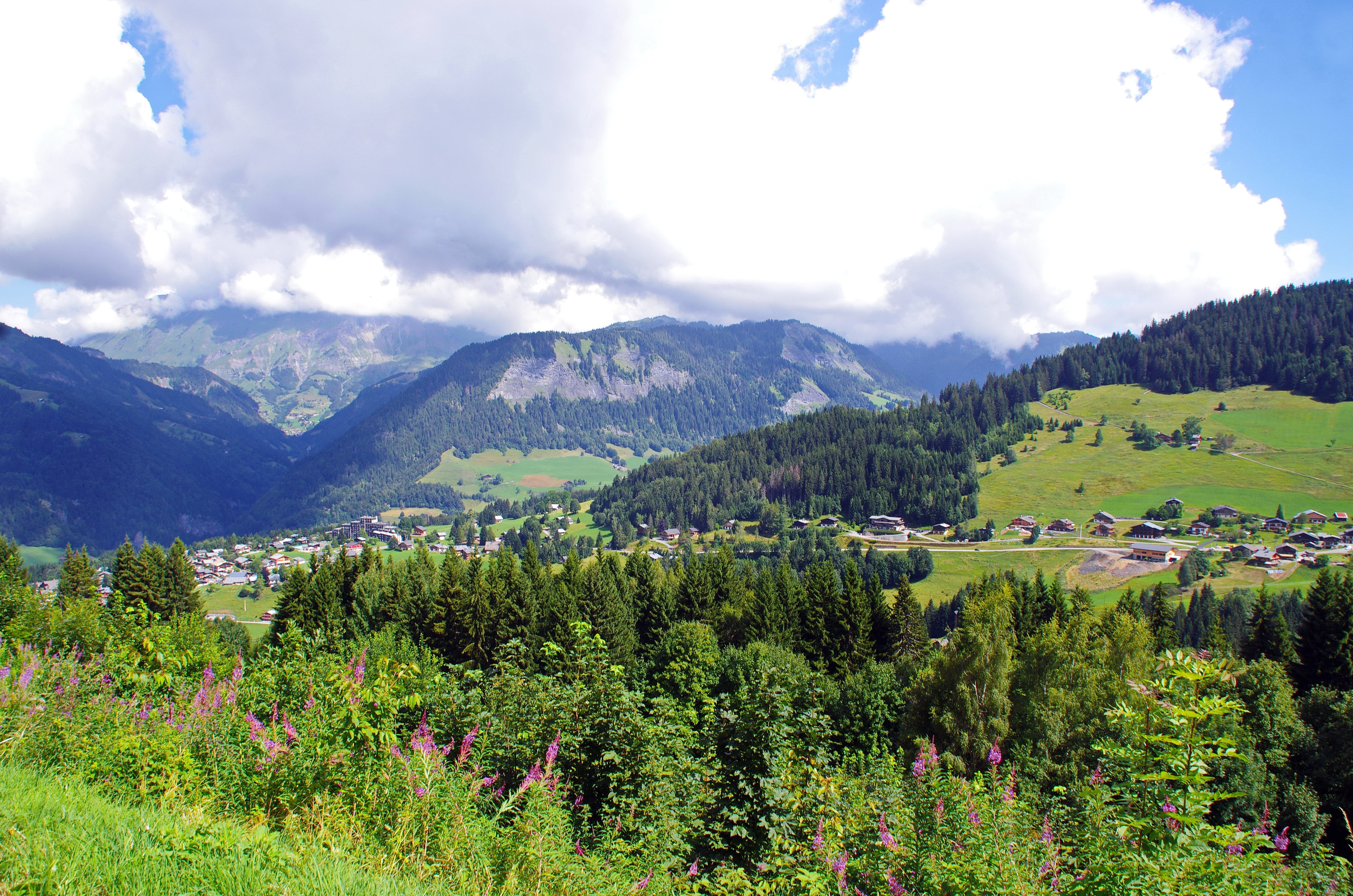 landscape, outdoors, range, summer, alps, environment, growth, hiking, altitude, no people, tree, cloud - sky, sky, panorama, scenics - nature, plant, meadow, HD Wallpaper