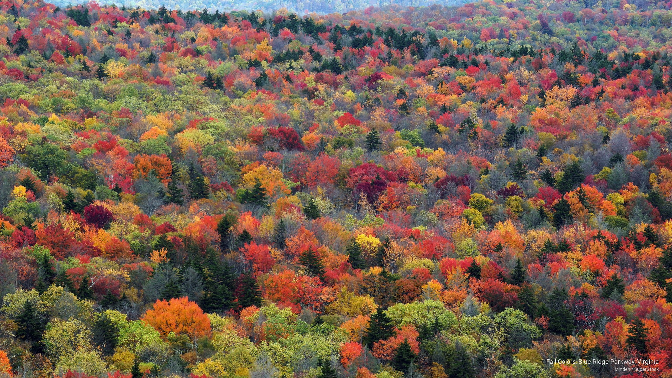 blue, ridge, virginia, Fall, colors, parkway, 2K, HD Wallpaper