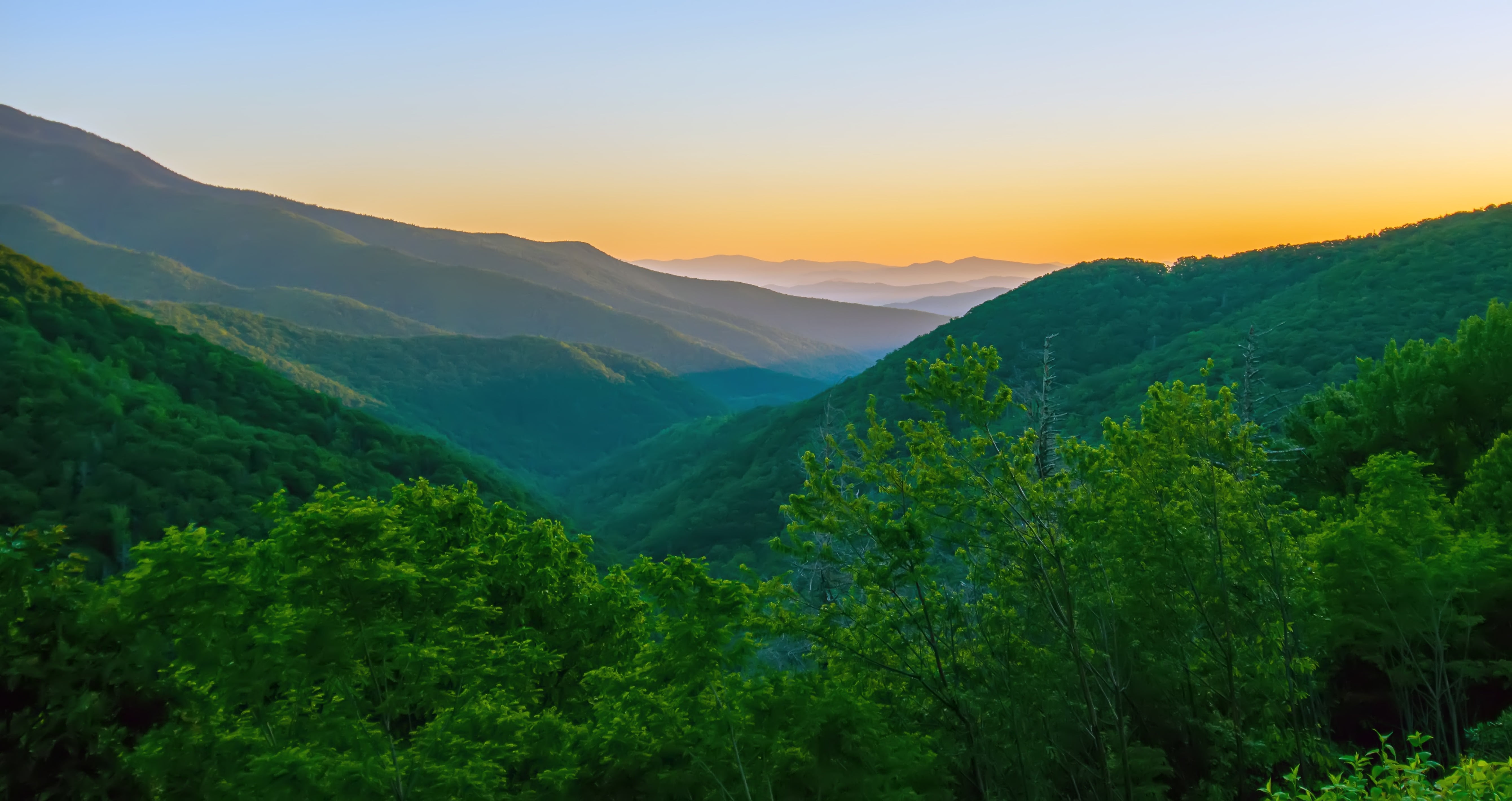 natural, sunset, fog, land, scenery, green, tranquil, woodland, nature, forest, environment, mountain range, mountain peak, scenics - nature, plant, no people, HD Wallpaper
