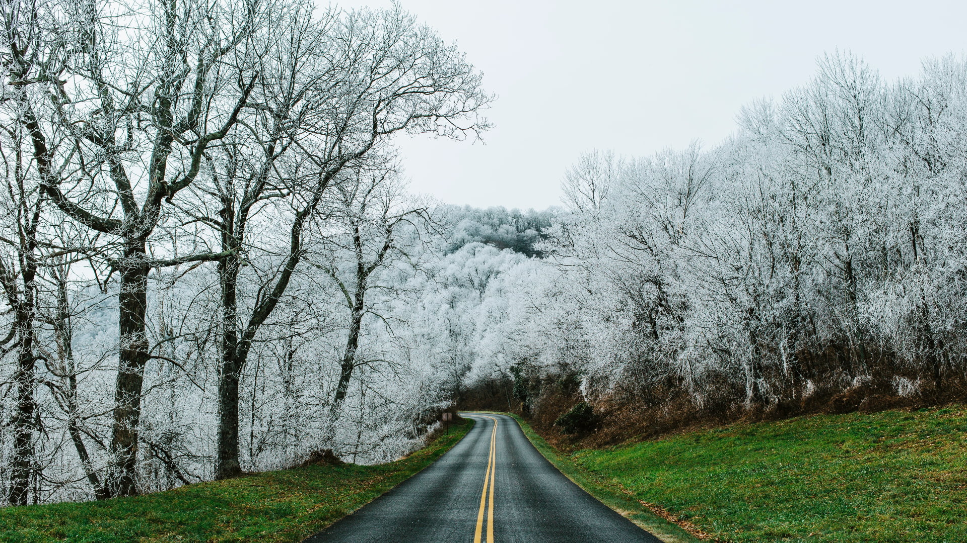 grass, landscape, Blue Ridge Parkway, nature, Virginia, forest, road, USA, 1080P, trees, HD Wallpaper
