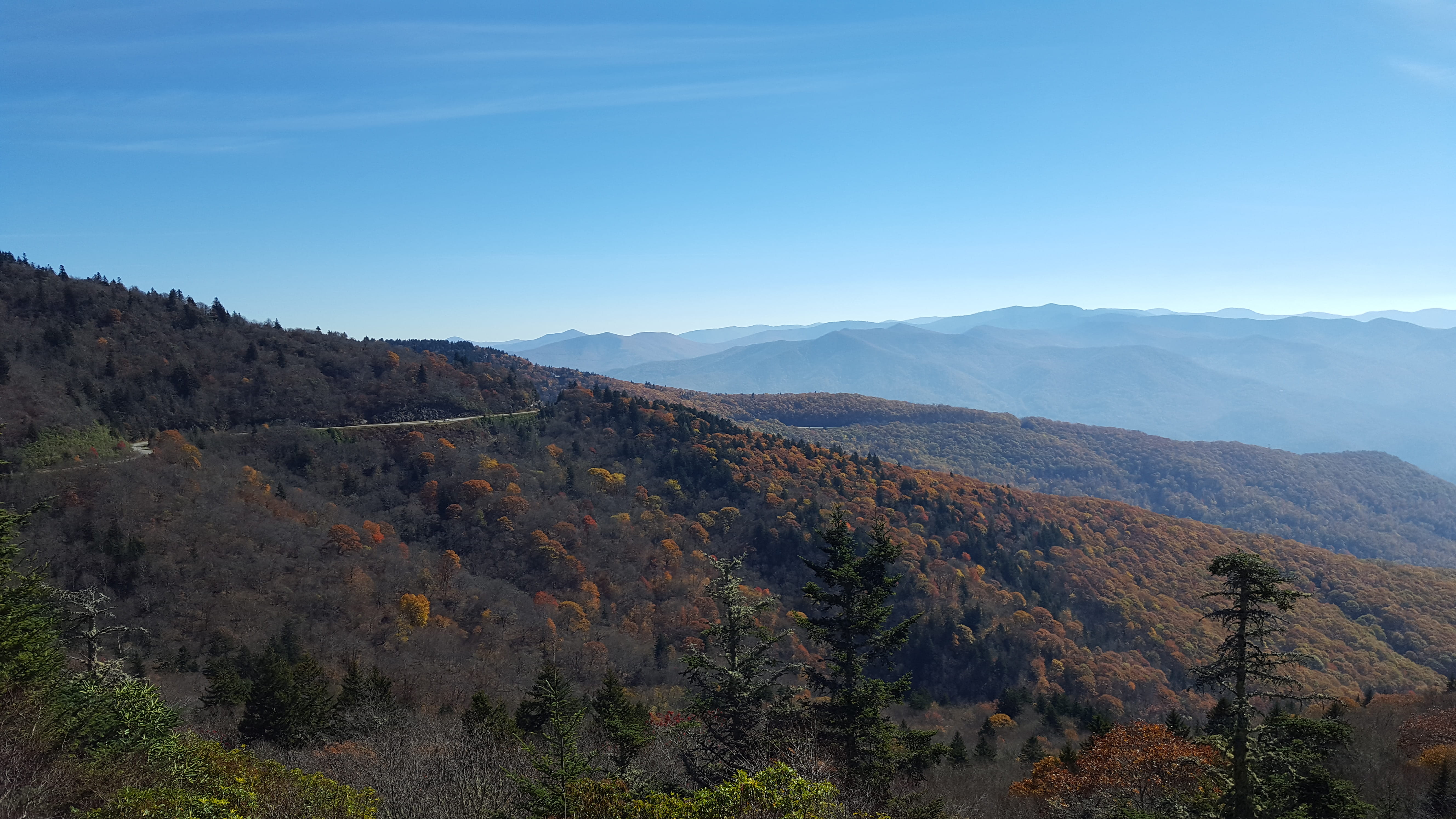 scenics - nature, plant, nature, mountain, sky, day, beauty in nature, travel destinations, arid climate, asheville, tree, landscape, idyllic, tranquil scene, HD Wallpaper